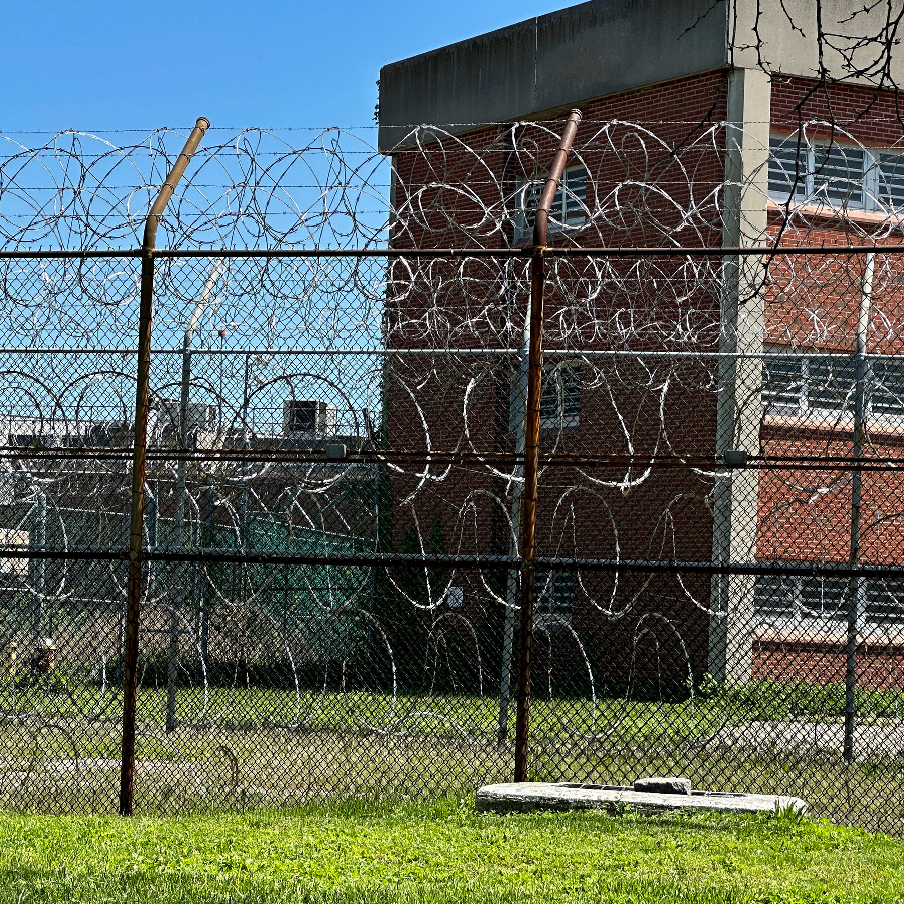 Detainee Dies at Rikers, the Fifth Fatality in 2 Weeks in N.Y.C. Lockups