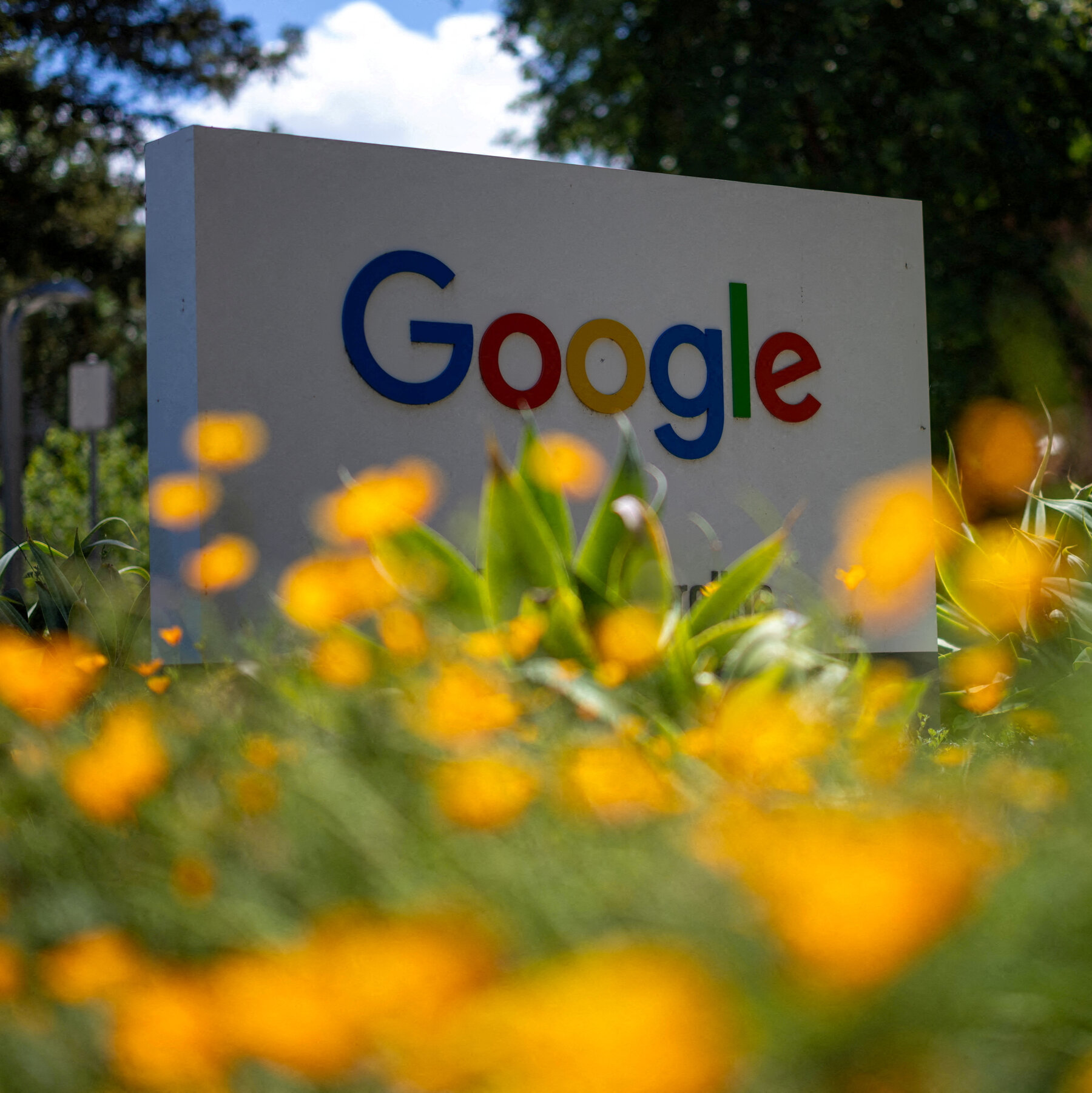 Did Google Just Get Spared? Investors Think So.