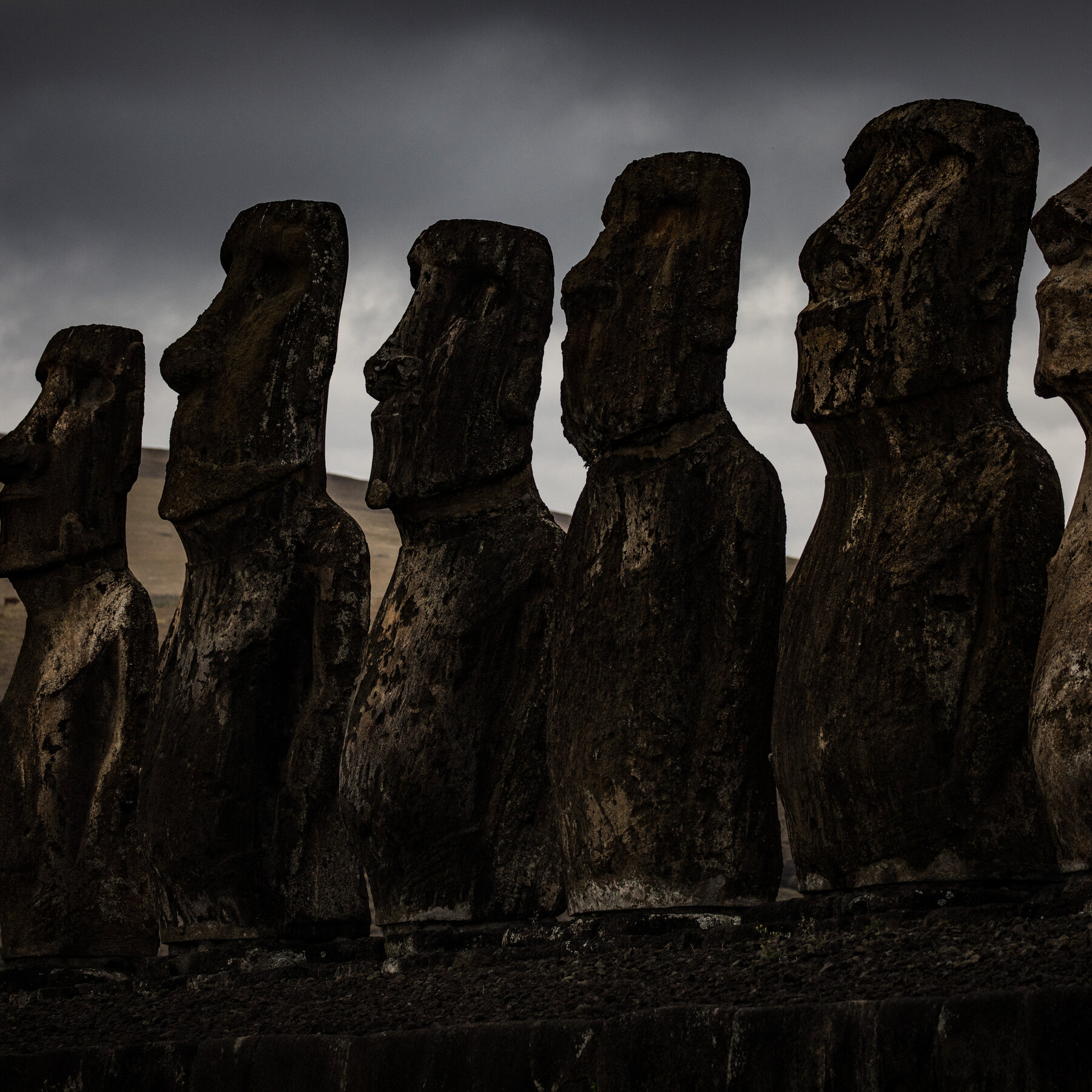 Did the Giant Heads of Easter Island Once Walk?