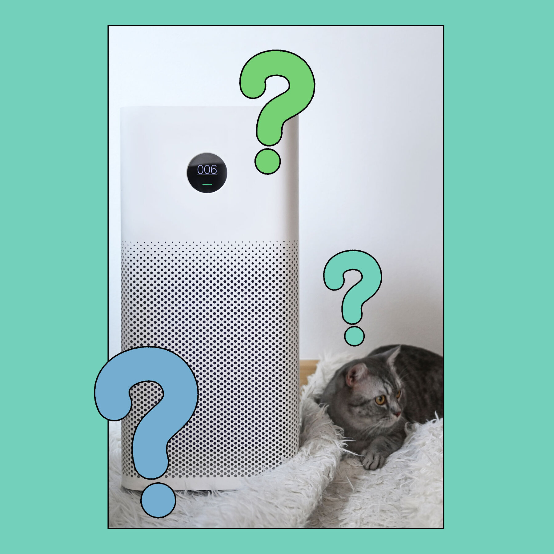 Do I Really Need an Air Purifier?