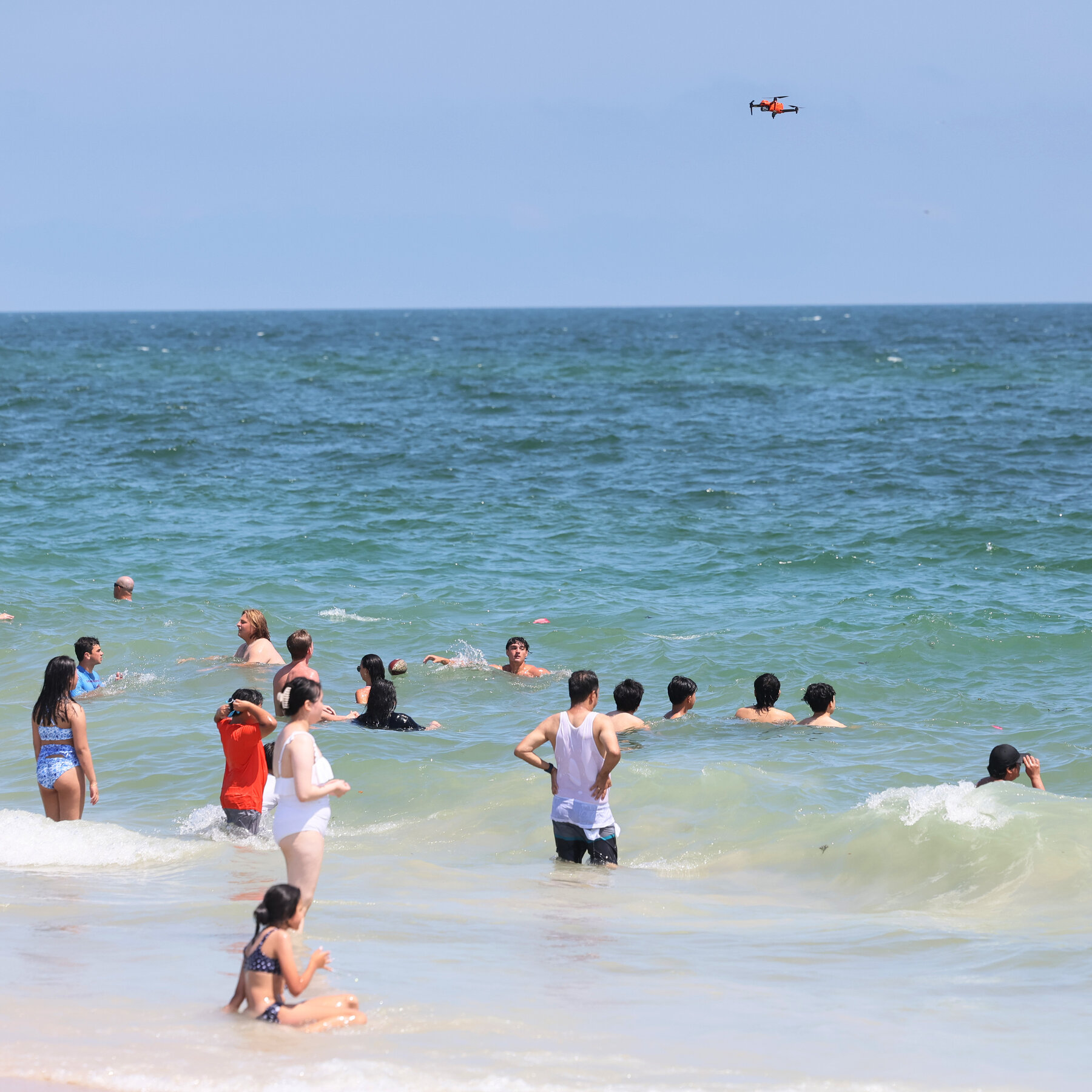 Don’t Let Shark Panic Spoil Your Fourth of July