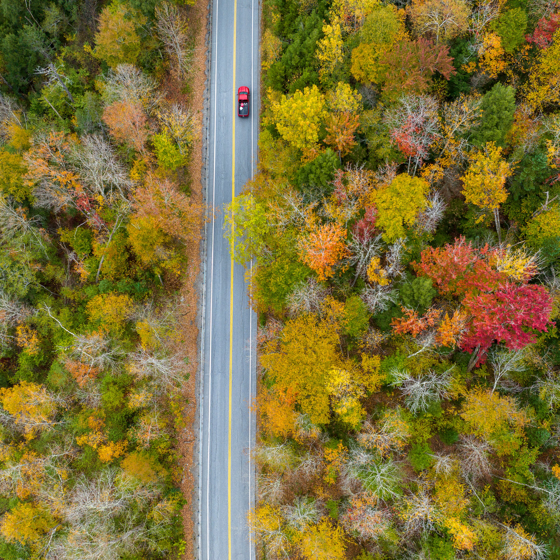 Drought Mutes Northeast Leaf-Peeping Season