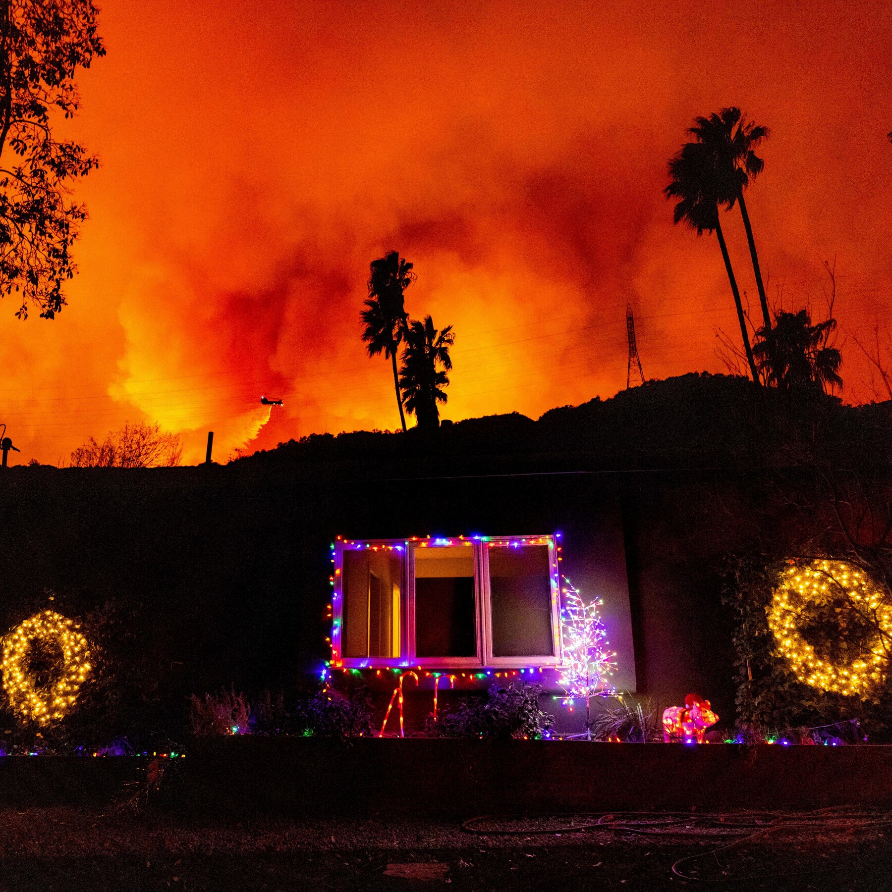 Dry Vegetation Fuels L.A. Fires as Wind Speeds Drop