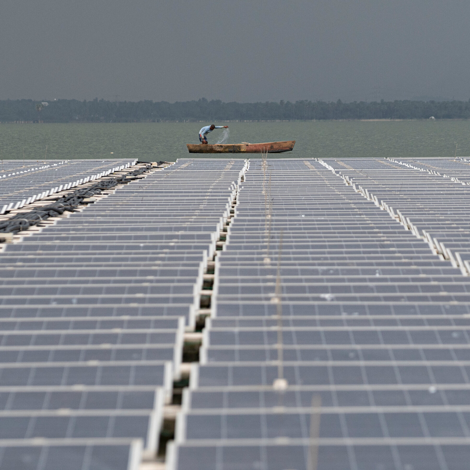 Early Signs of a ‘Turning Point’ as Renewables Edge Out Coal