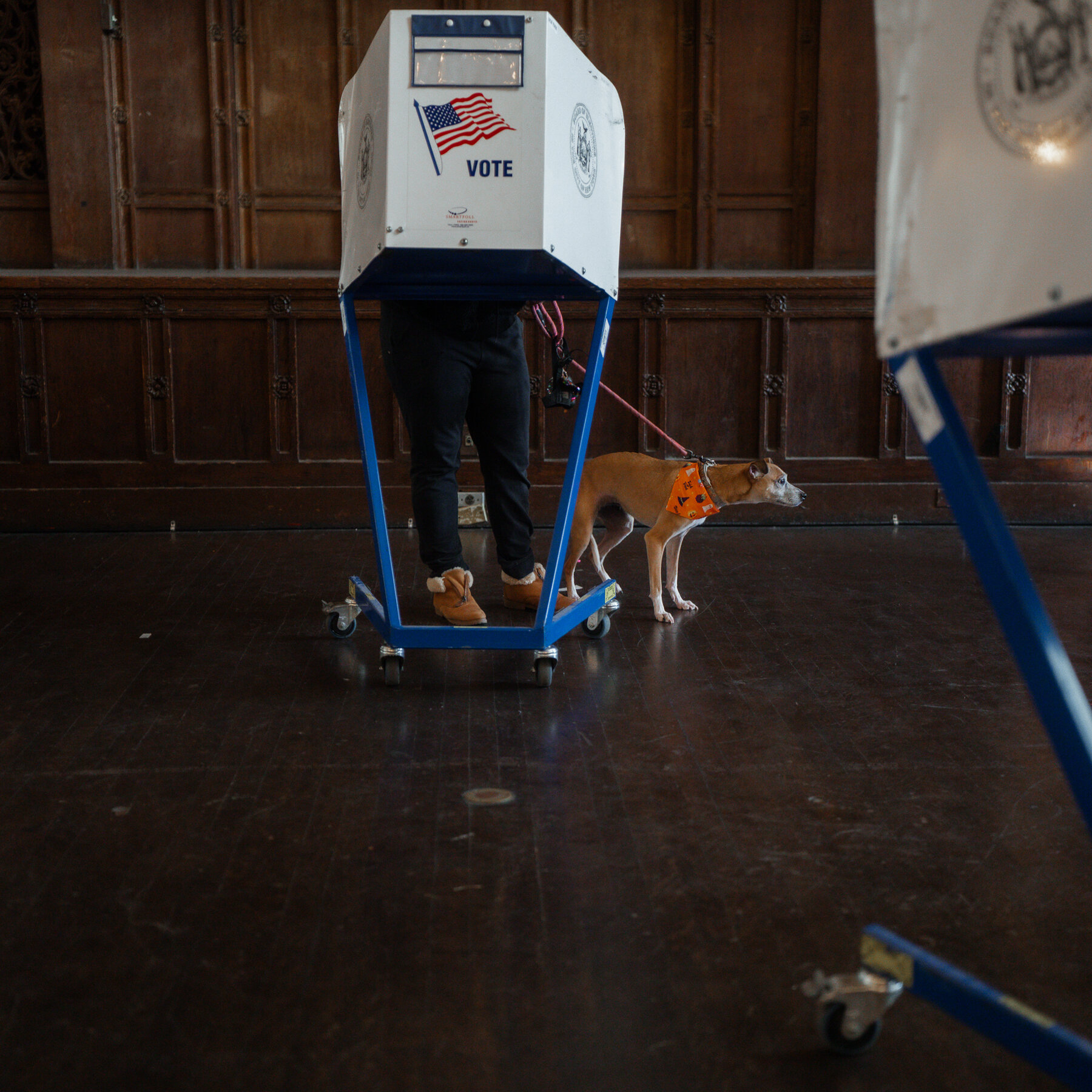 Early Voting Is Underway in the N.Y.C. Mayor Race. What Can It Tell Us?