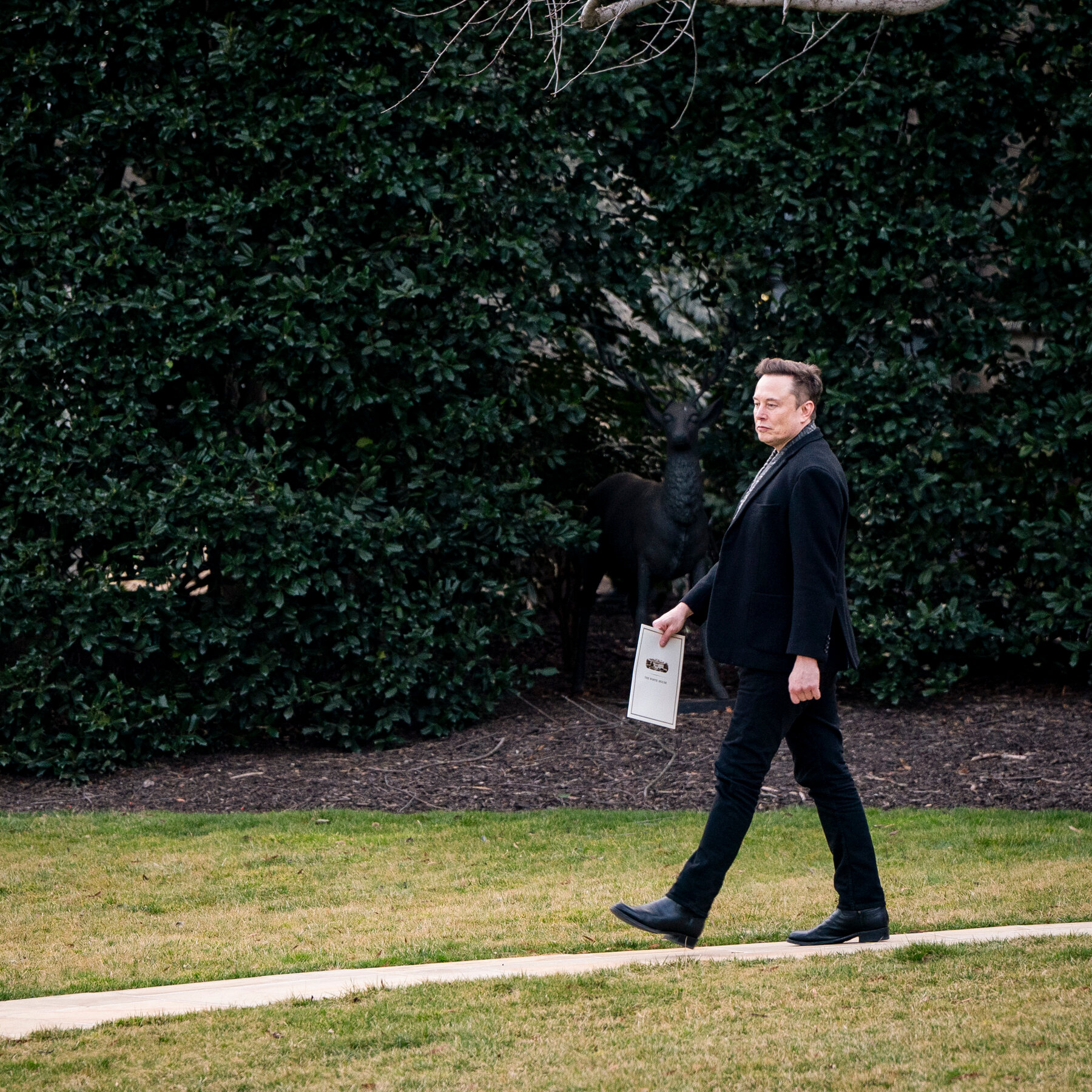 Elon Musk Suggests DOGE Team Will Scrutinize Social Security and Entitlement Spending