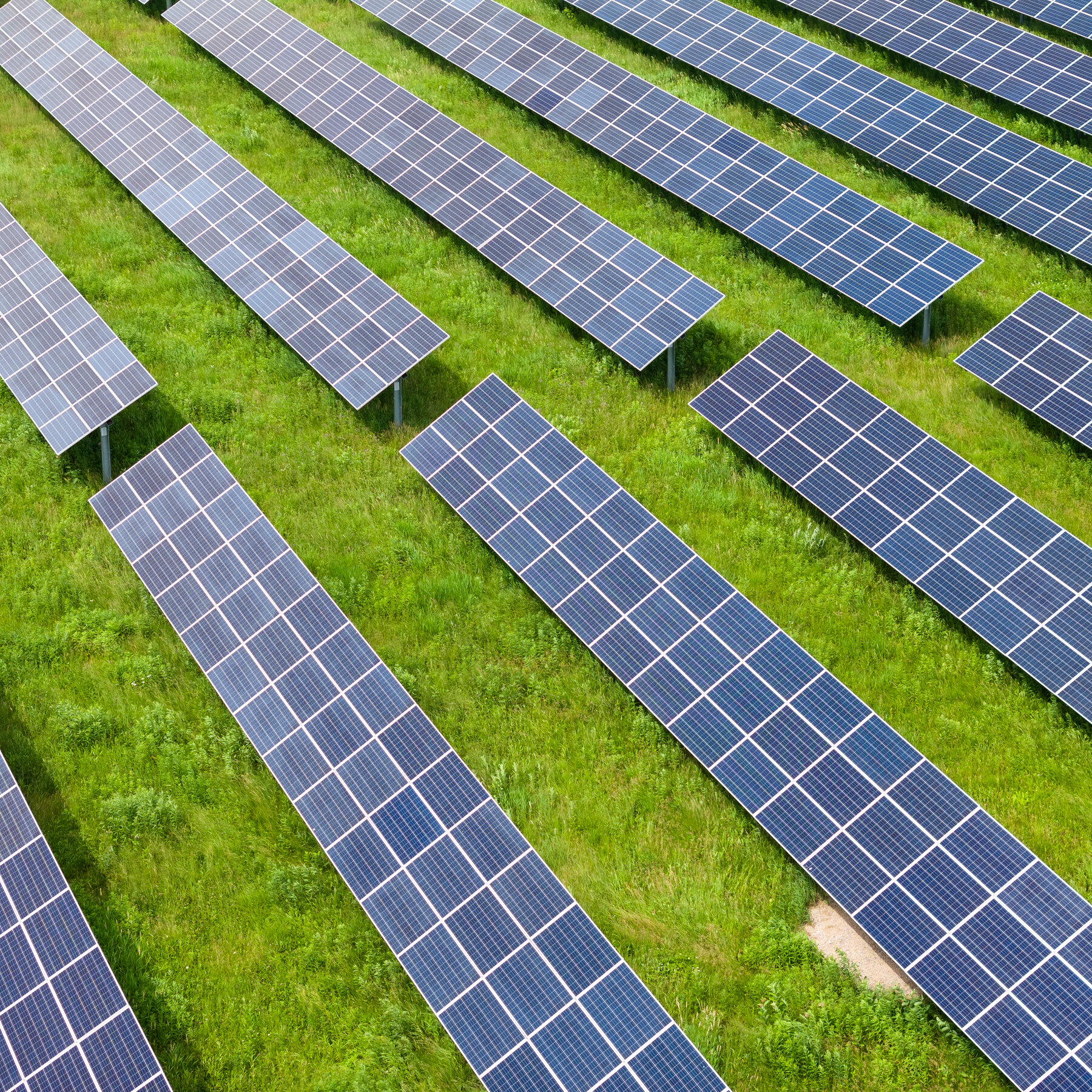 Energy Department to Gut Funding for Solar and Wind Projects