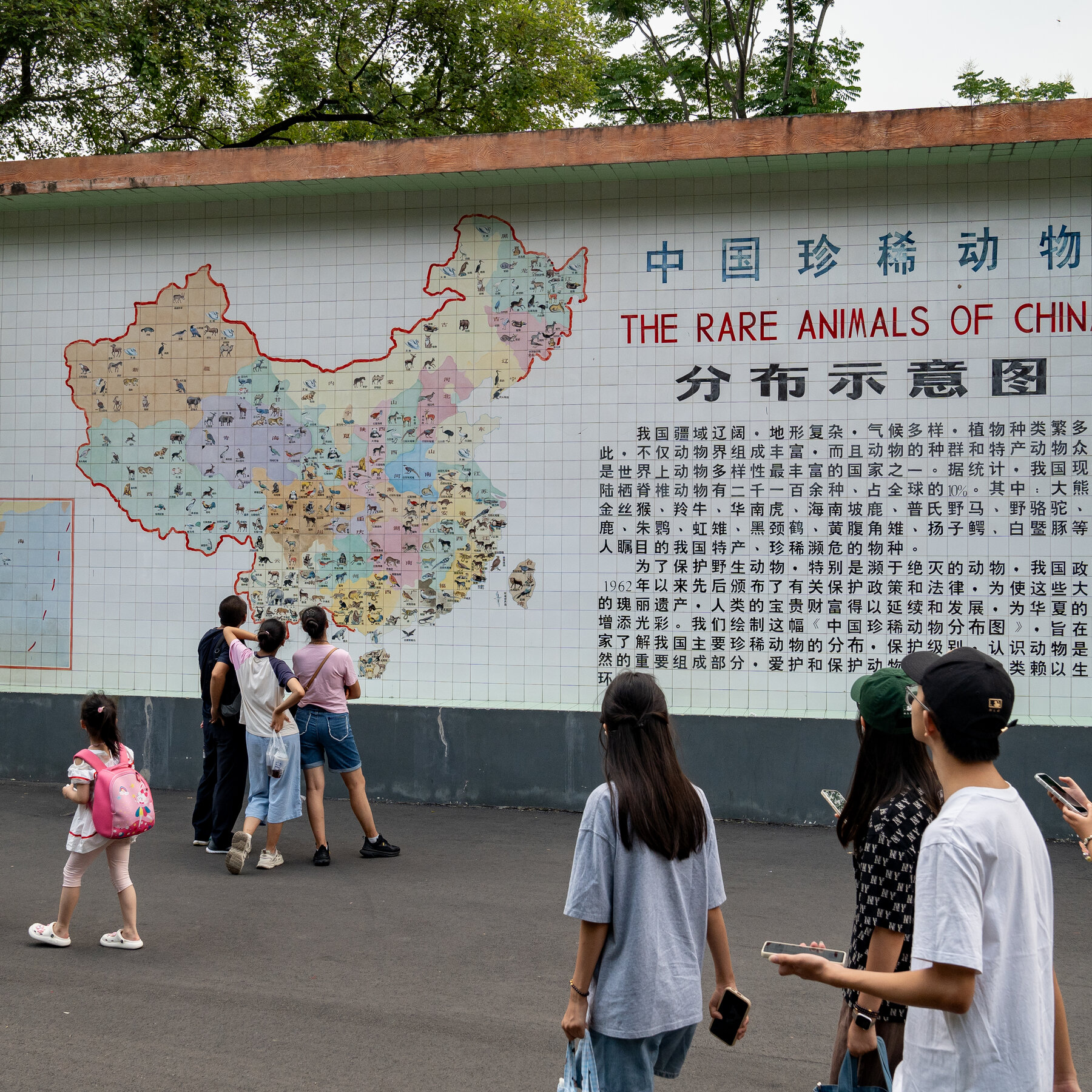 Everyone is Moving to Chengdu. What Does That Say About China’s Economy?