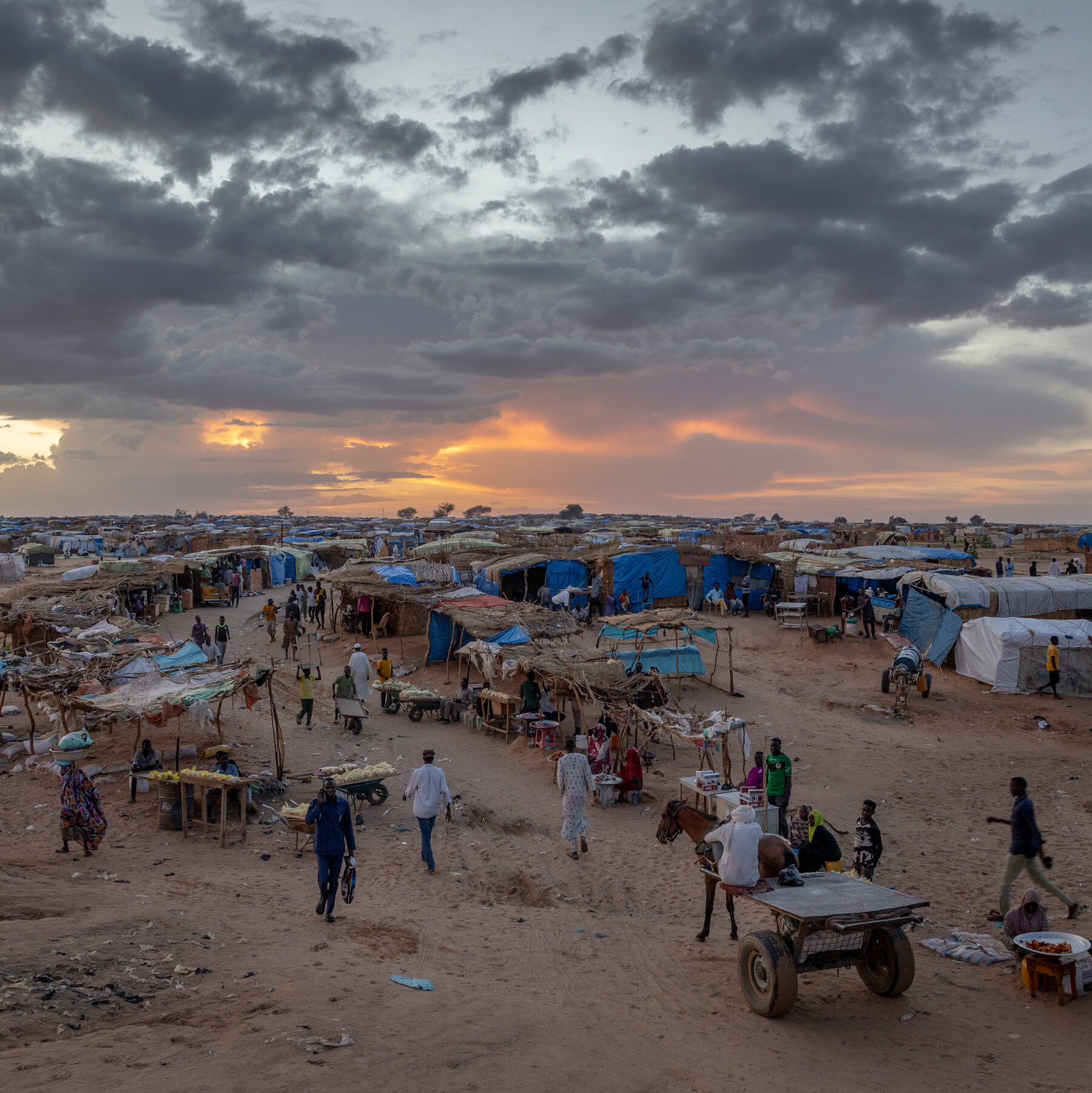 Evidence Supports War Crimes Allegations in Darfur, I.C.C. Prosecutor Says
