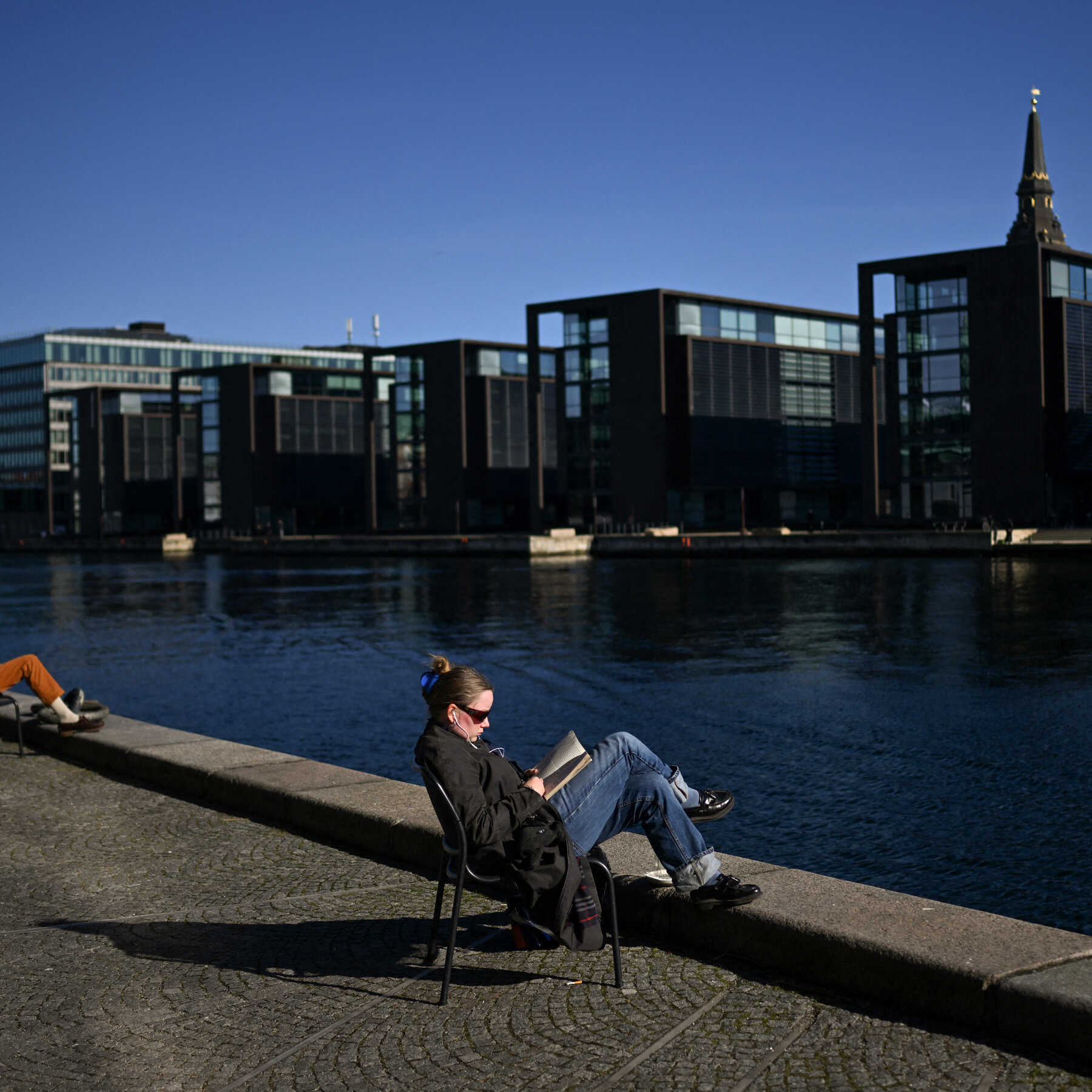 Facing a ‘Reading Crisis,’ Denmark Wants to Make Books Cheaper