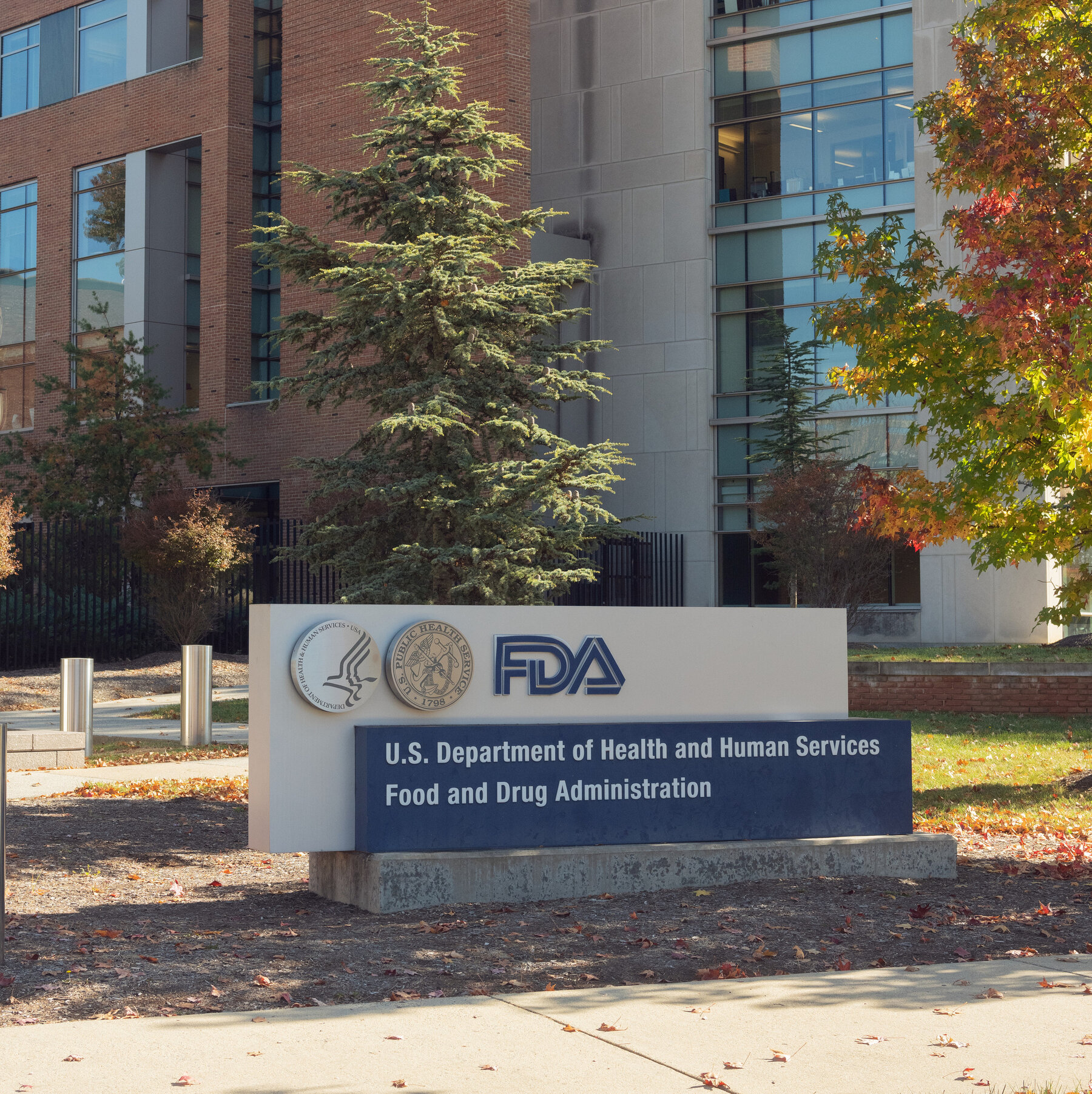 F.D.A. Reinstates Fired Medical Device, Food and Legal Staffers