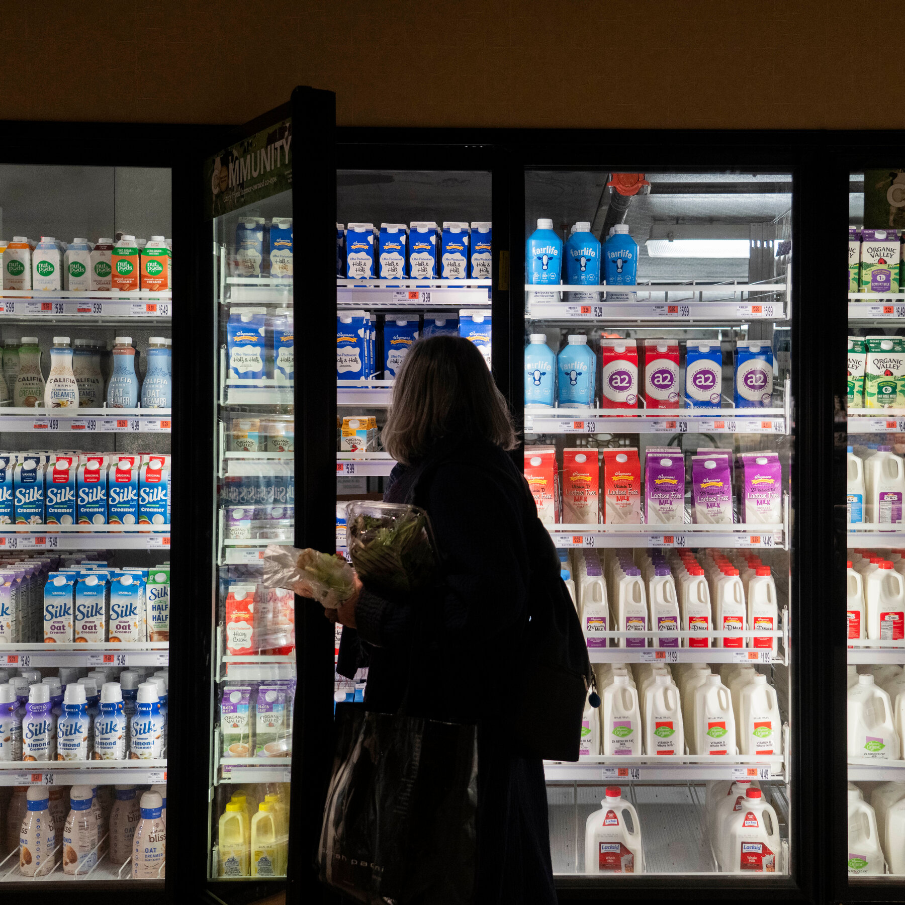 Federal Court to Rule on Fate of Food Stamps During the Shutdown