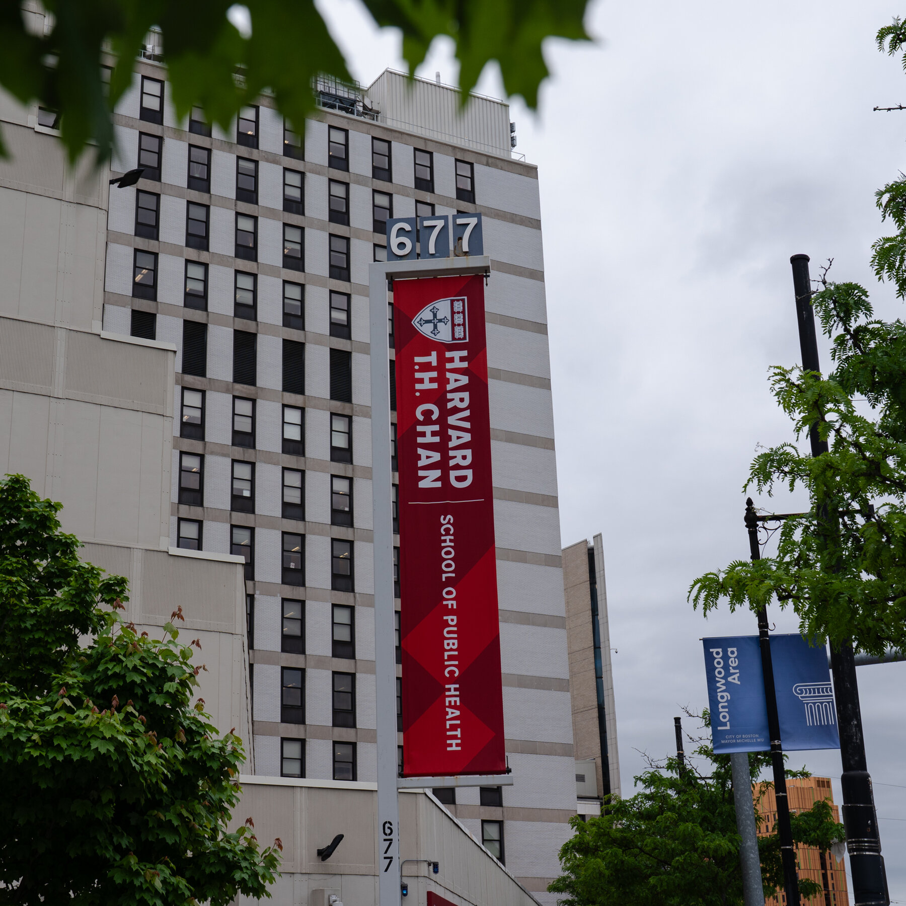 Federal Cuts Become ‘All Consuming’ at Harvard’s Public Health School
