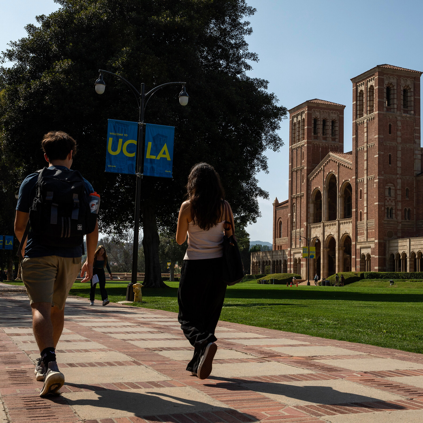 Feeling Political Heat From Trump, Colleges Pump Up Their Lobbying