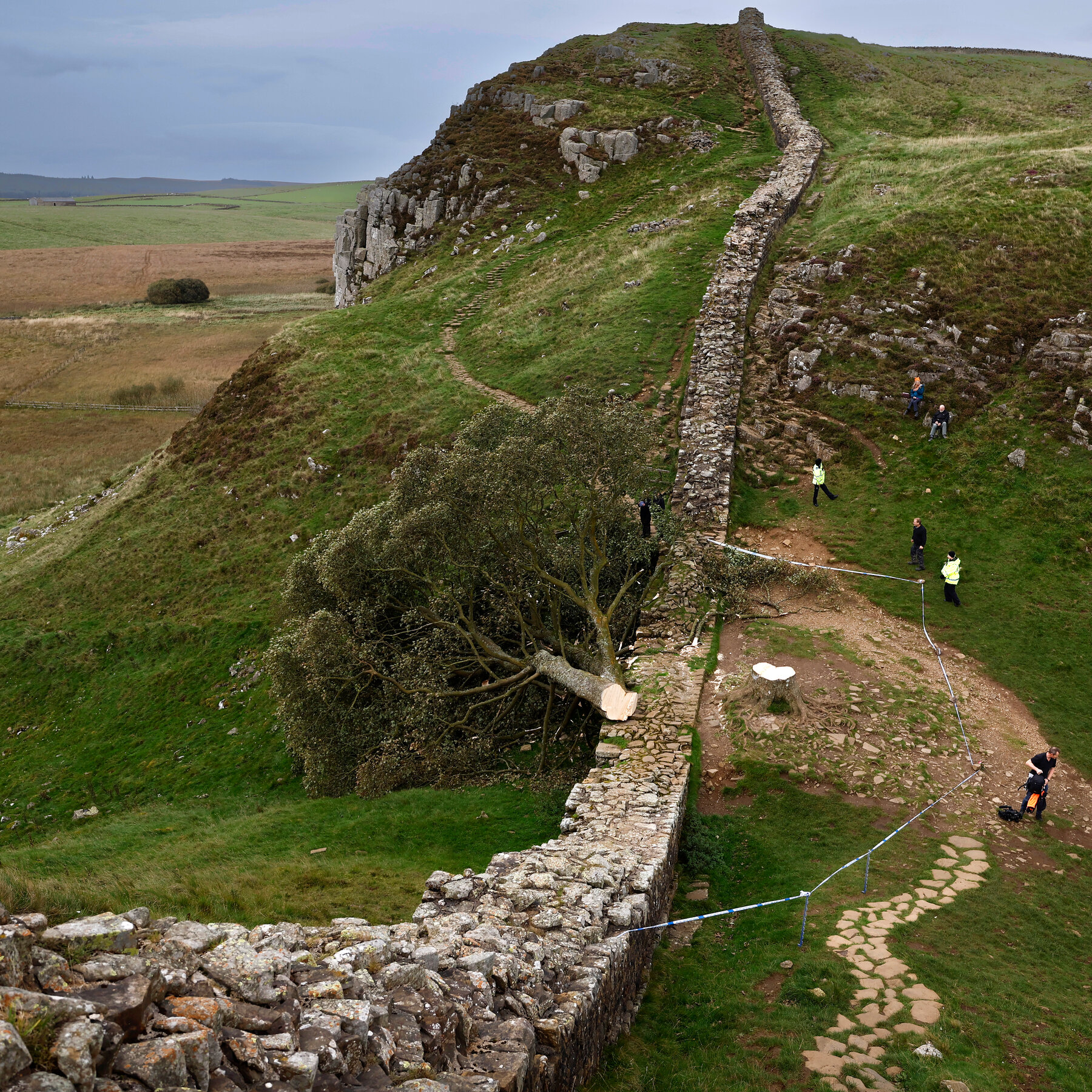 Felling of Sycamore Gap Tree Was ‘Deliberate and Mindless,’ Prosecutor Says