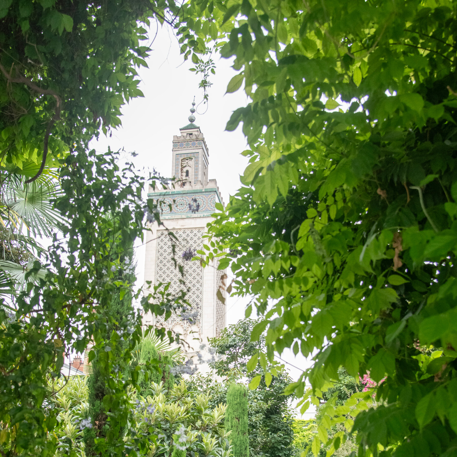 Following the Sounds of Arabic to Rediscover Paris