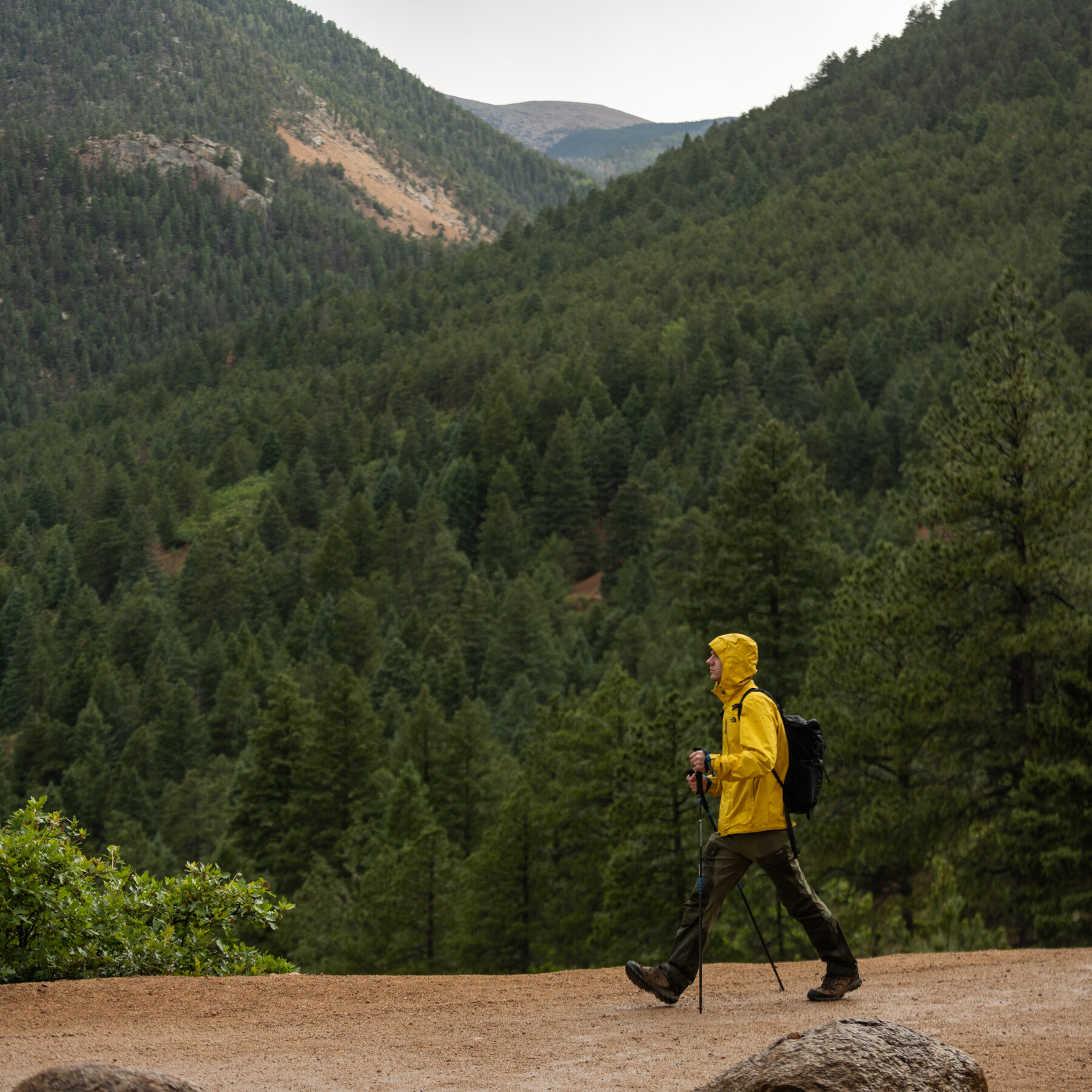 For a Better Workout, Walk With Hiking Poles