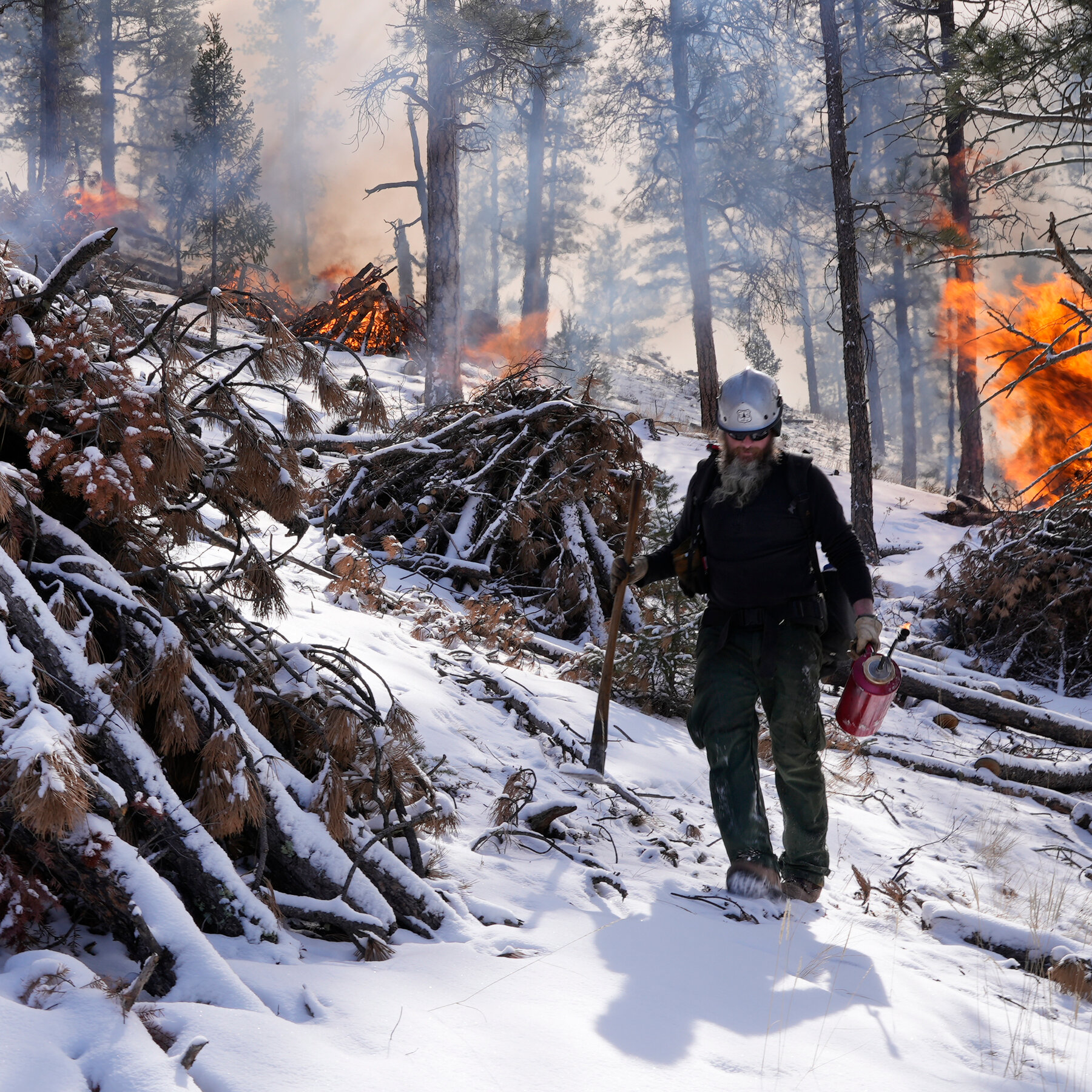 Forest Service Layoffs and Frozen Funds Increase the Risk From Wildfires