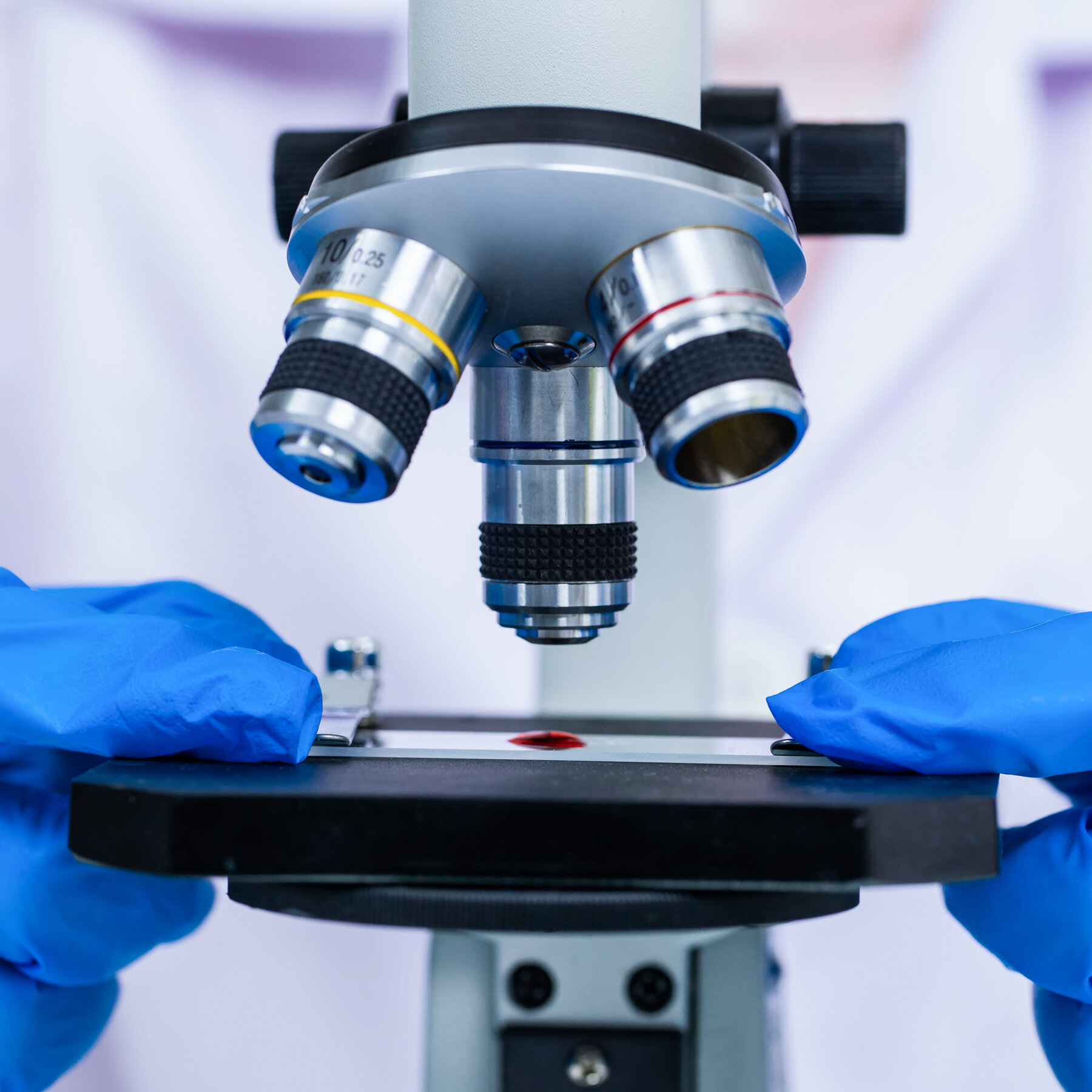 Fraudulent Scientific Papers Are Rapidly Increasing, Study Finds