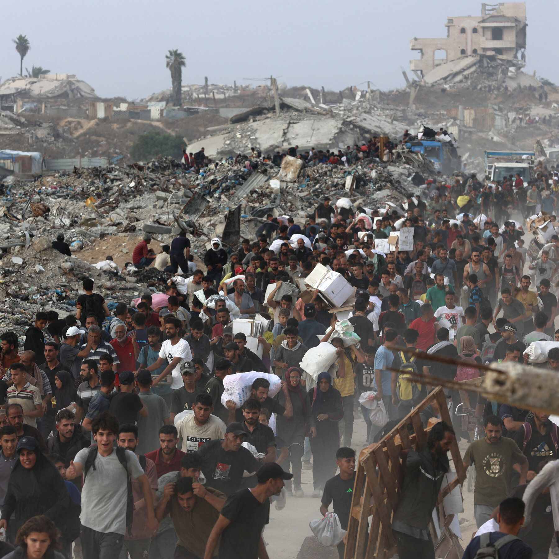Friday Briefing: The Deadly Search for Food in Gaza