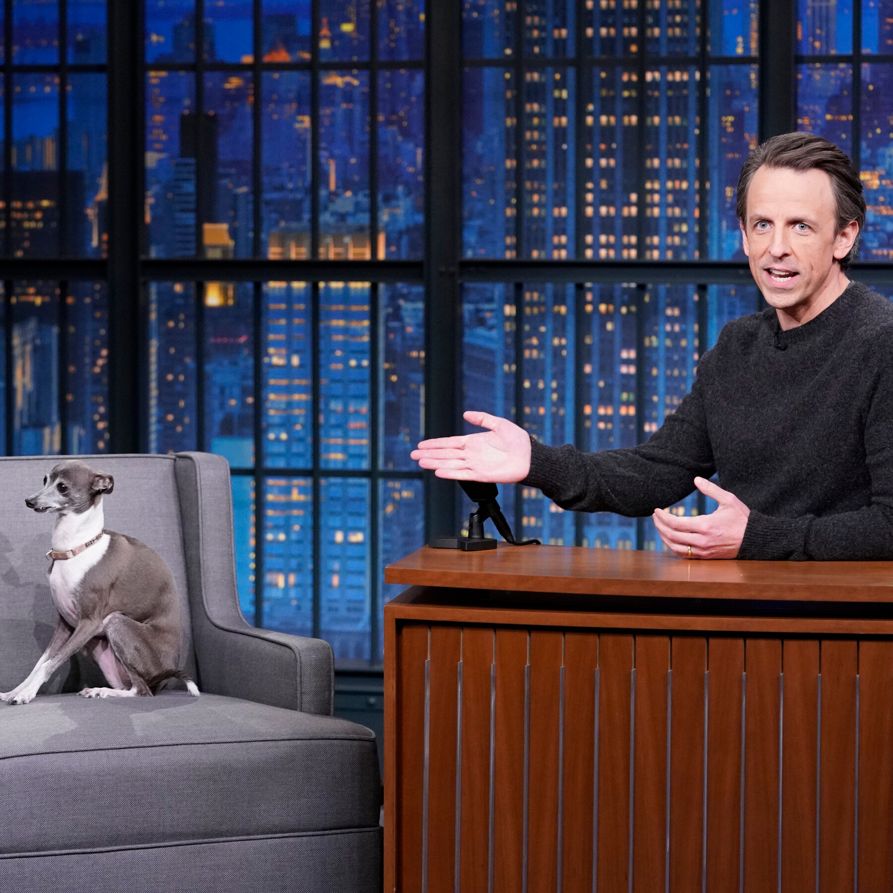 Frisbee, Seth Meyers’s Dog and Andy Samberg’s Archenemy, Dies