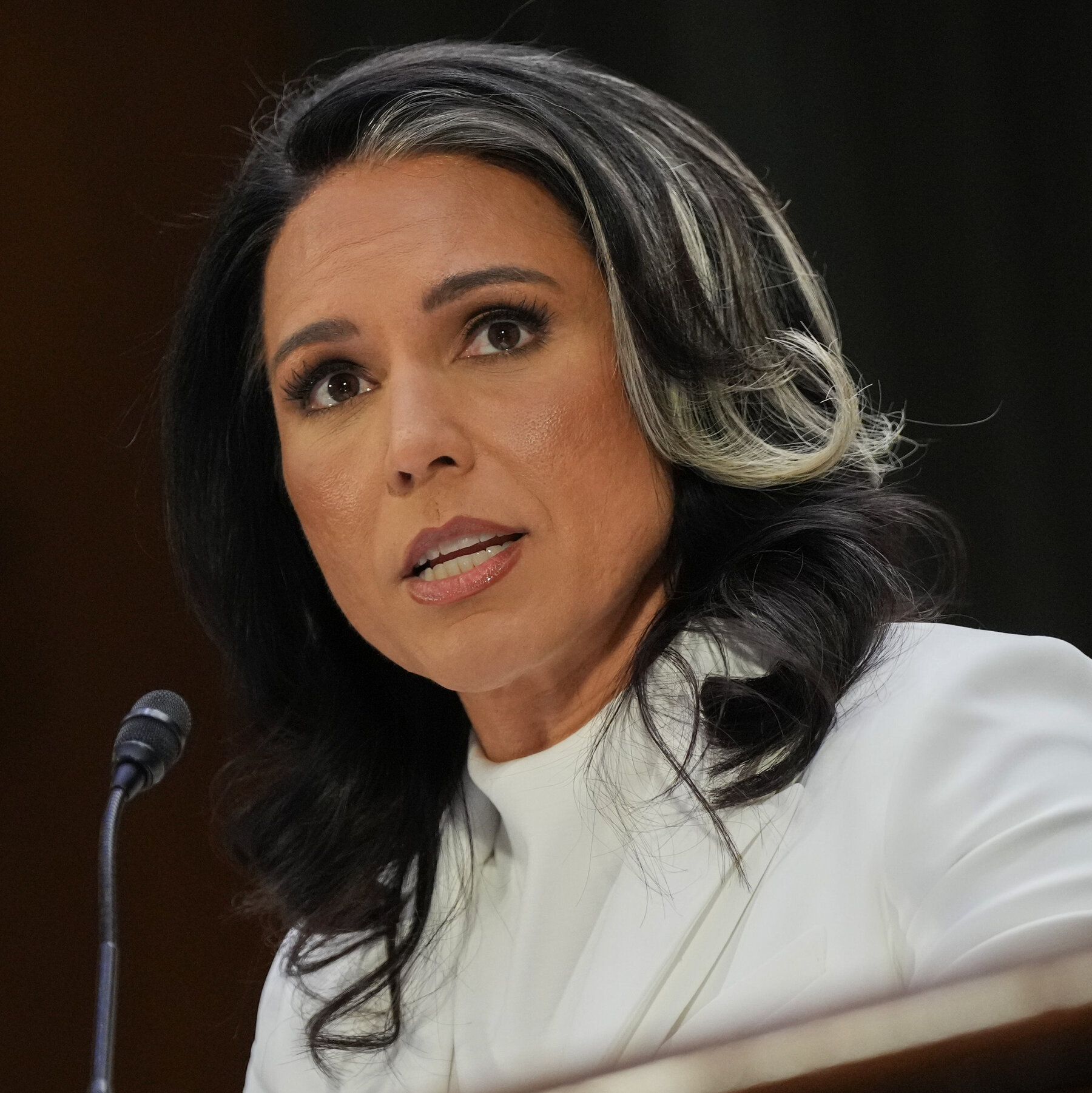Gabbard Considers Critic of Israel’s War in Gaza for Intel Post