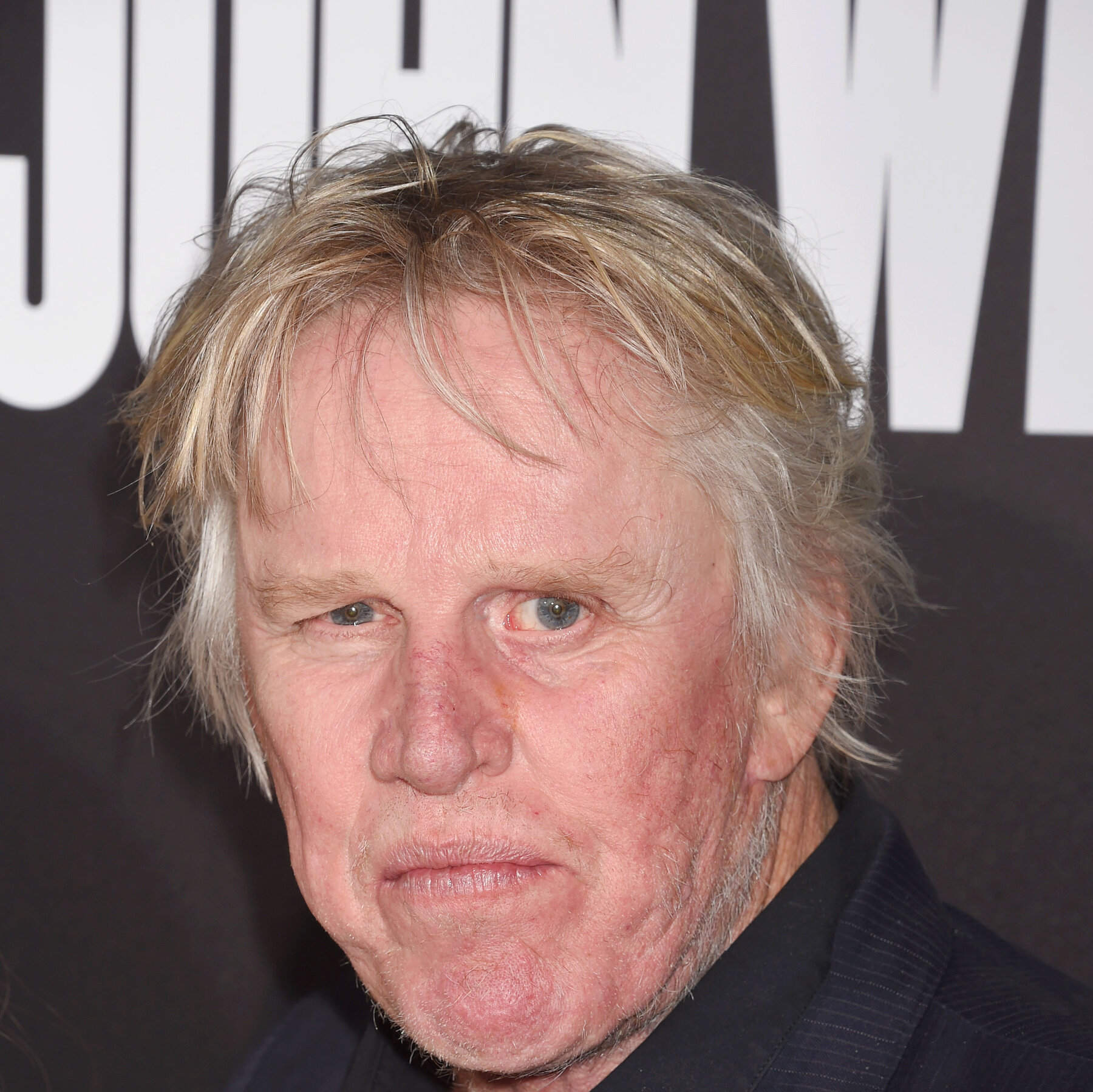 Gary Busey Pleads Guilty to Sex Crime Charge Tied to Horror Movie Event