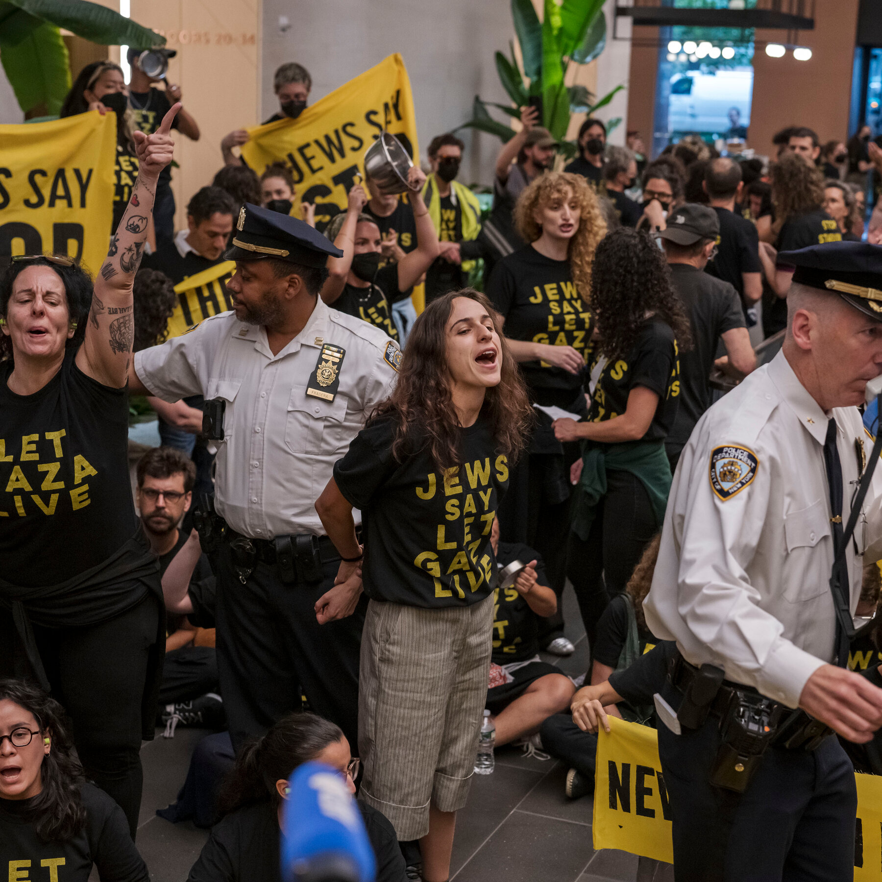 Gaza War Protesters Arrested at Offices of Schumer and Gillibrand