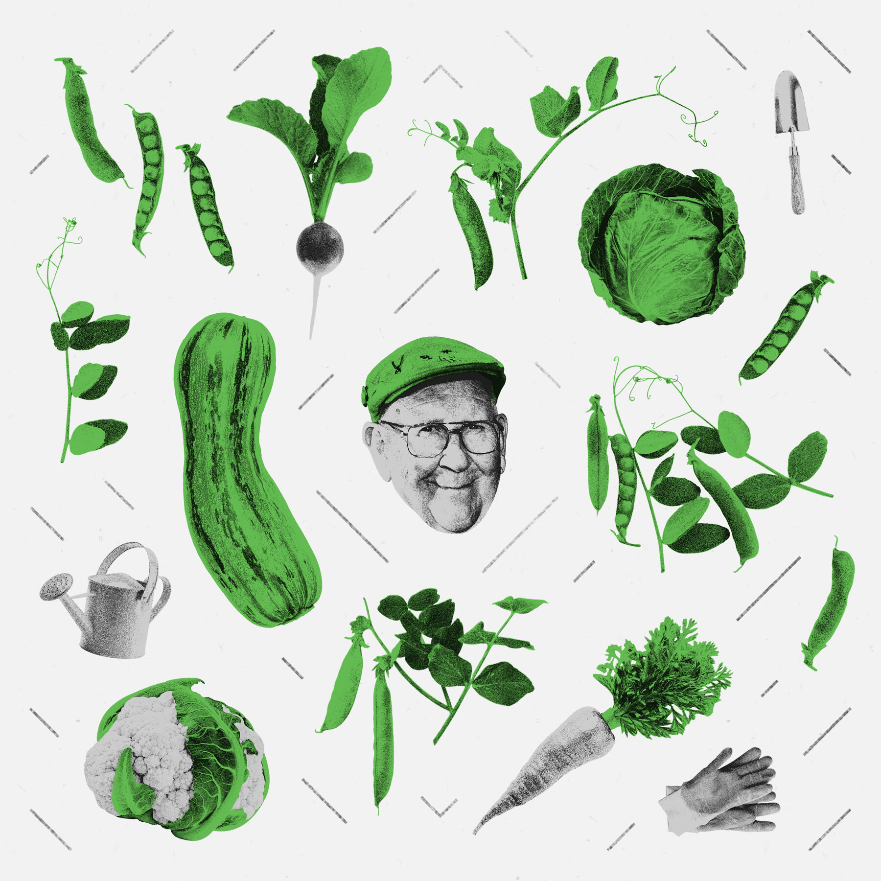 Gerald Stratford Is Still Growing Very Big Vegetables
