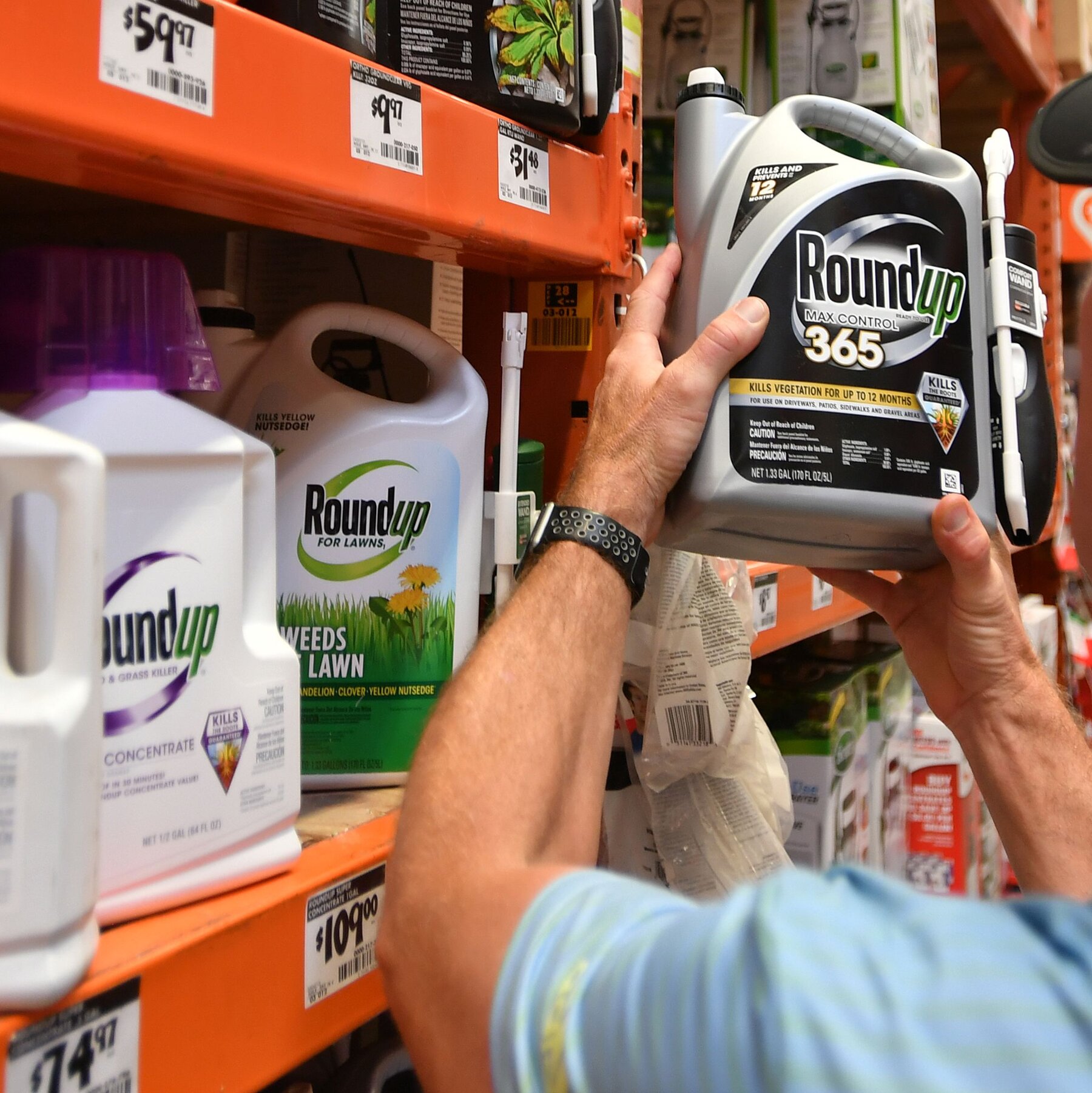 G.O.P. Plan on Pesticides Faces Revolt From MAHA Moms