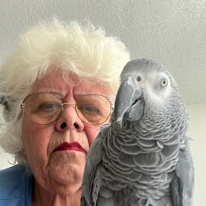 Grandmother Is Stranded When Her Parrot ‘Plucky’ Can’t Board Flight