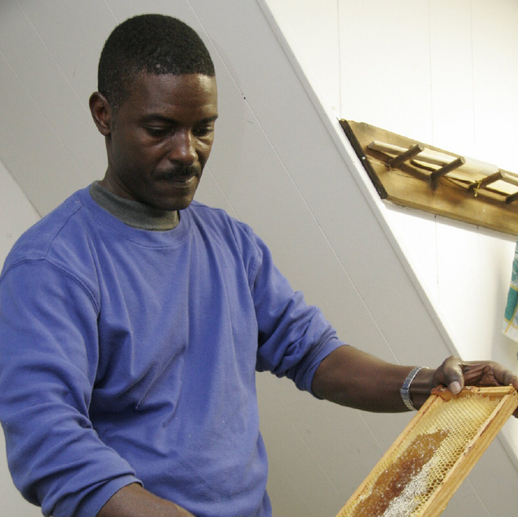 Hamptons Beekeeper Is Charged With Concealing a Genocidal Past in Rwanda