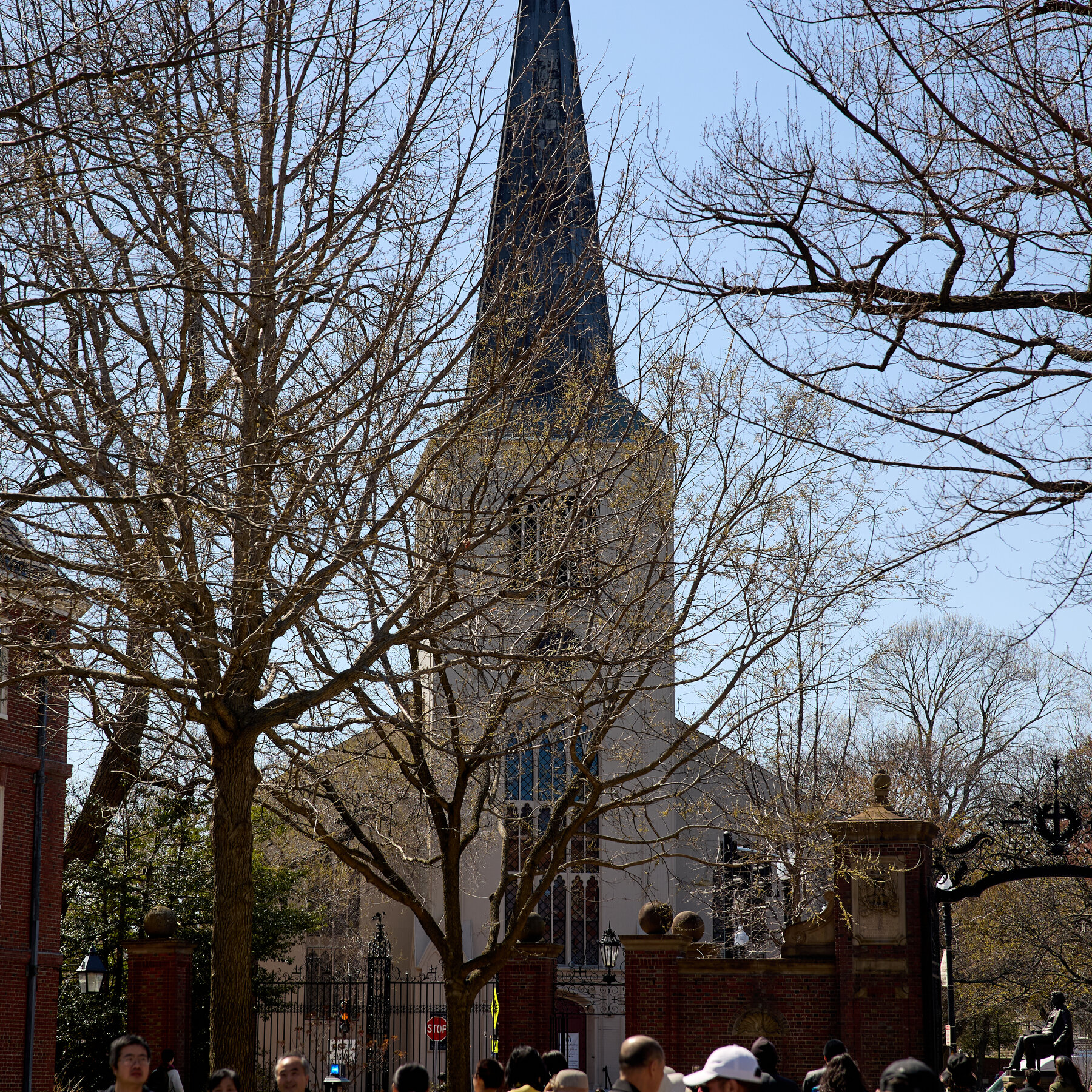 Harvard, Under Pressure, Revamps D.E.I. Office