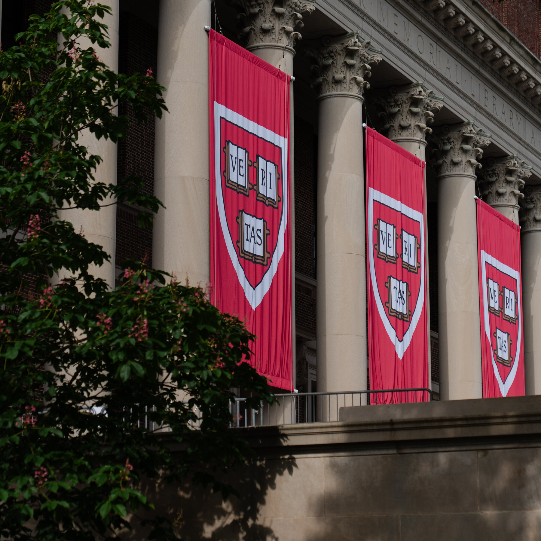 Harvard Will Ask a Judge to Block Trump From Barring International Students