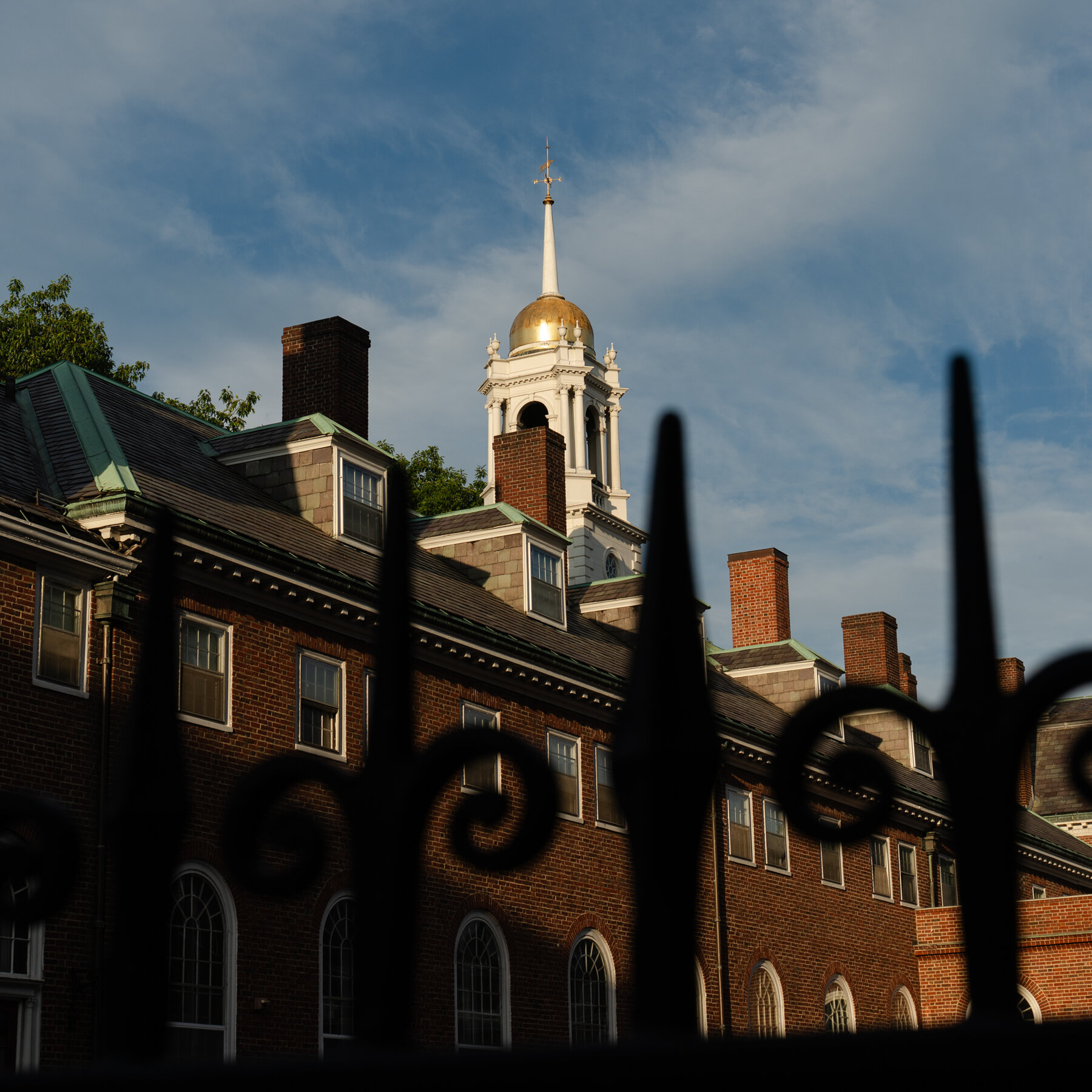 Harvard Will Share Employee Forms With Trump Administration