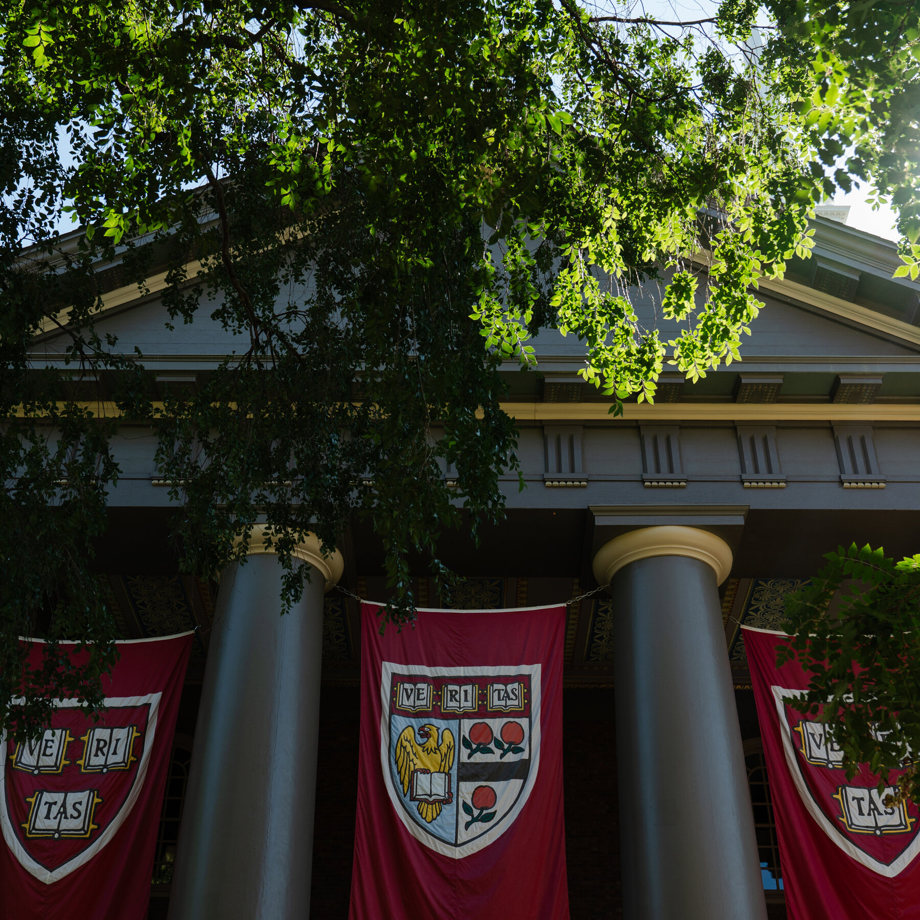 Harvard Won Its Money Back, but Will It Actually Get It?
