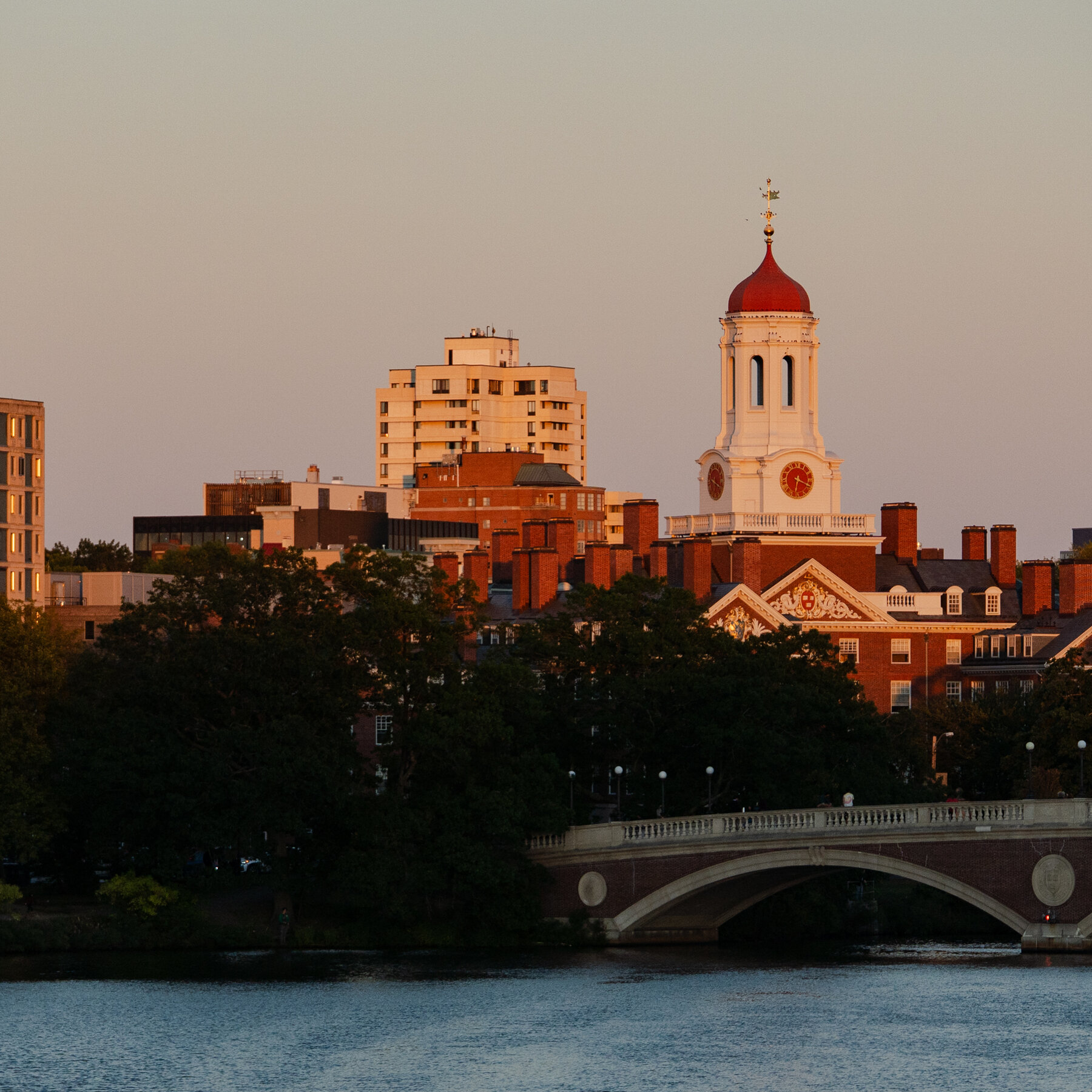 Harvard’s Wealth Is Growing, Despite Trump’s Attacks on Its Funds