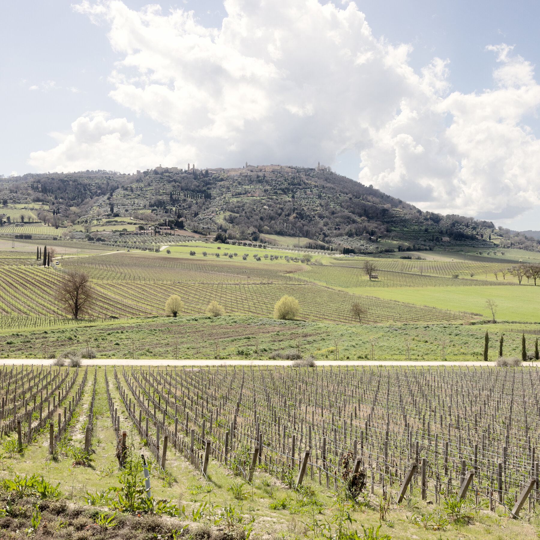 Hold the Chianti: Tariff Threat Leaves Italian Bottles Grounded