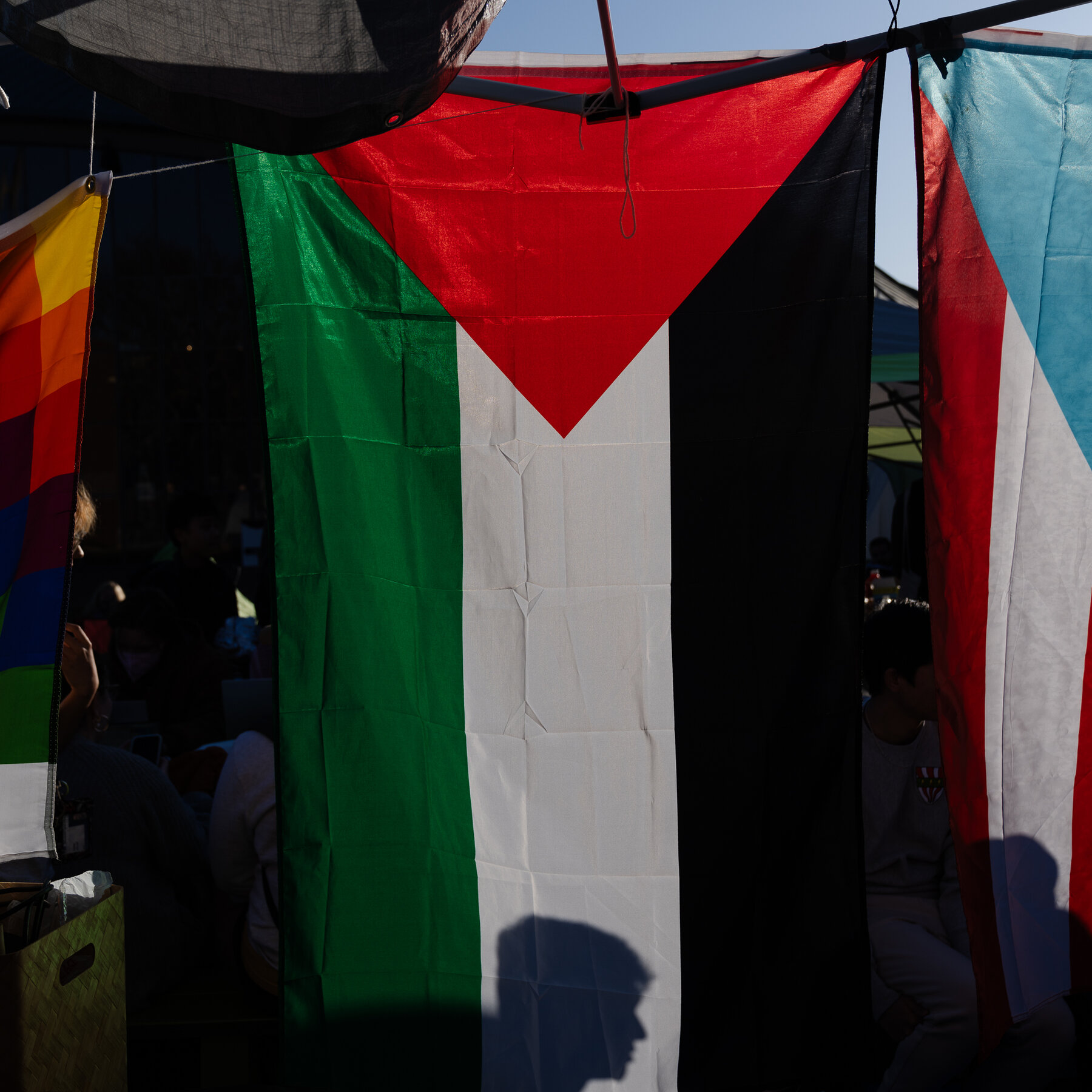 House Democrats Renew Effort Calling for Palestinian Statehood