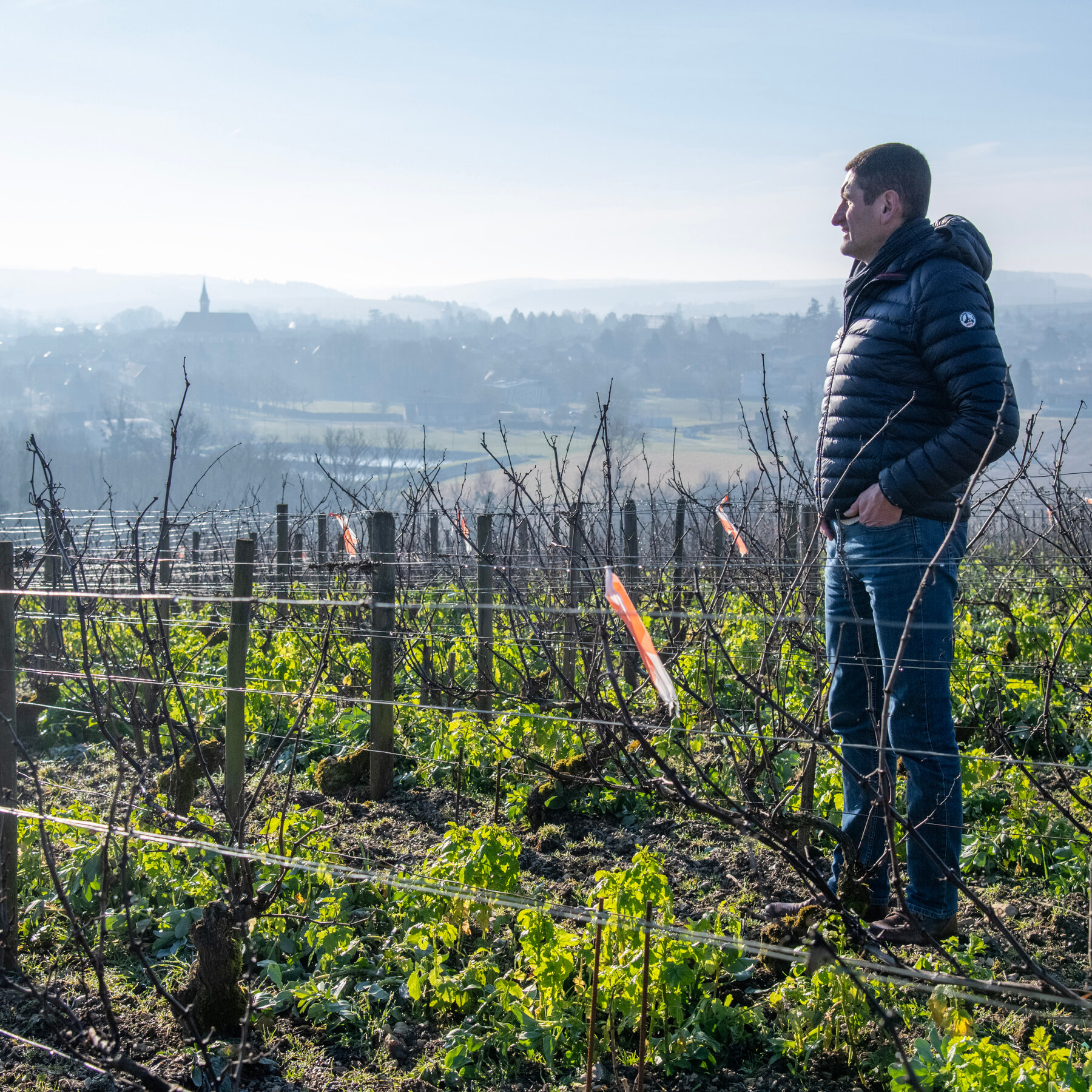 How Chablis Winemakers Are Fighting Back Against Climate Change