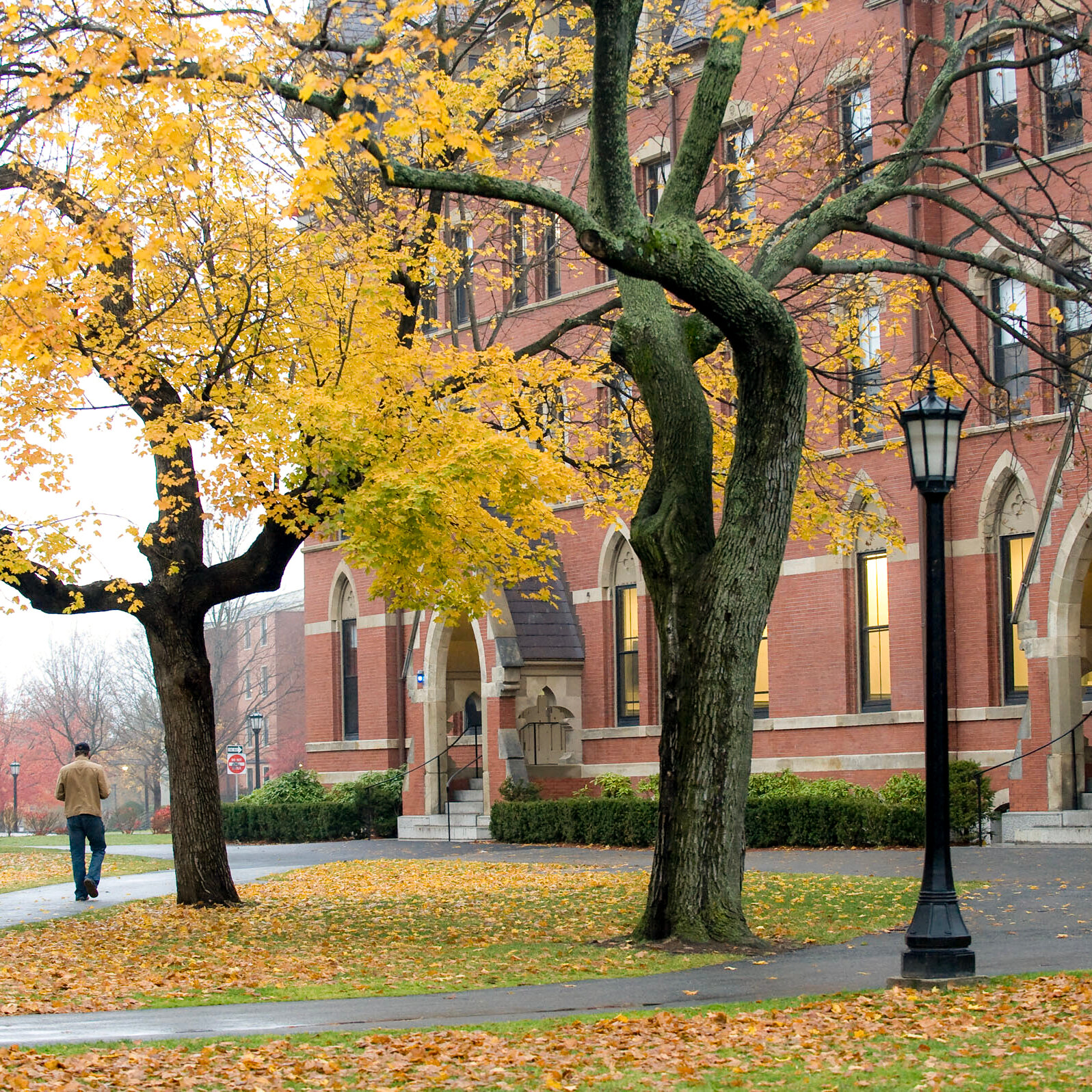 How Does It Feel to Be an International Student in the U.S. Now?