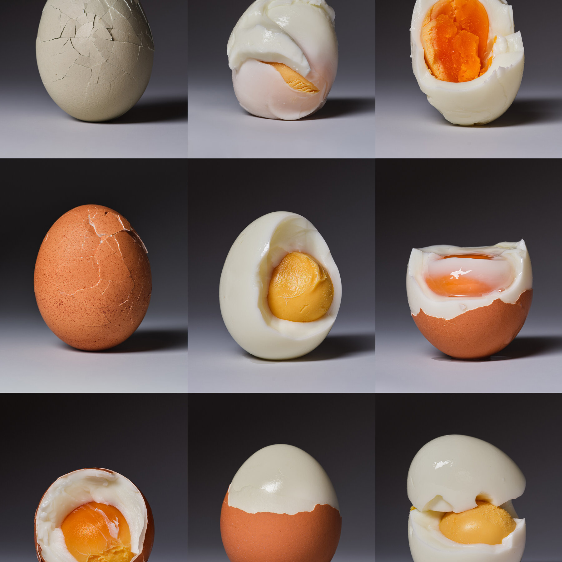 How Healthy Are Eggs?