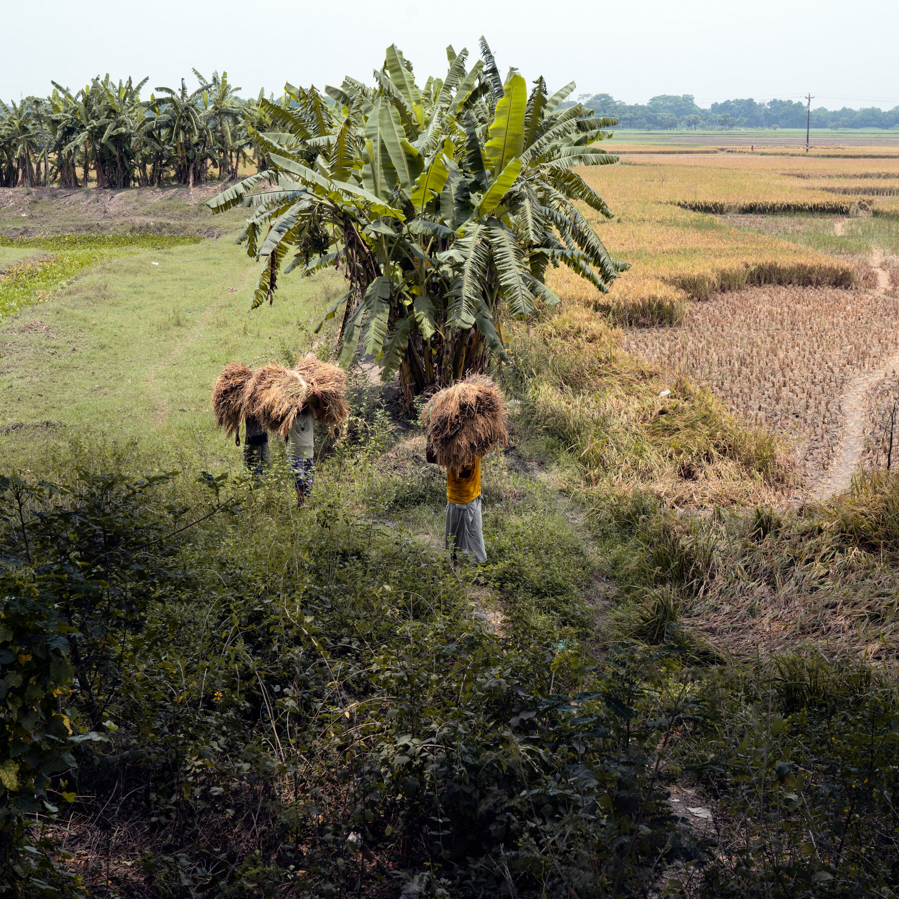 How Six World Leaders Are Confronting Climate Change