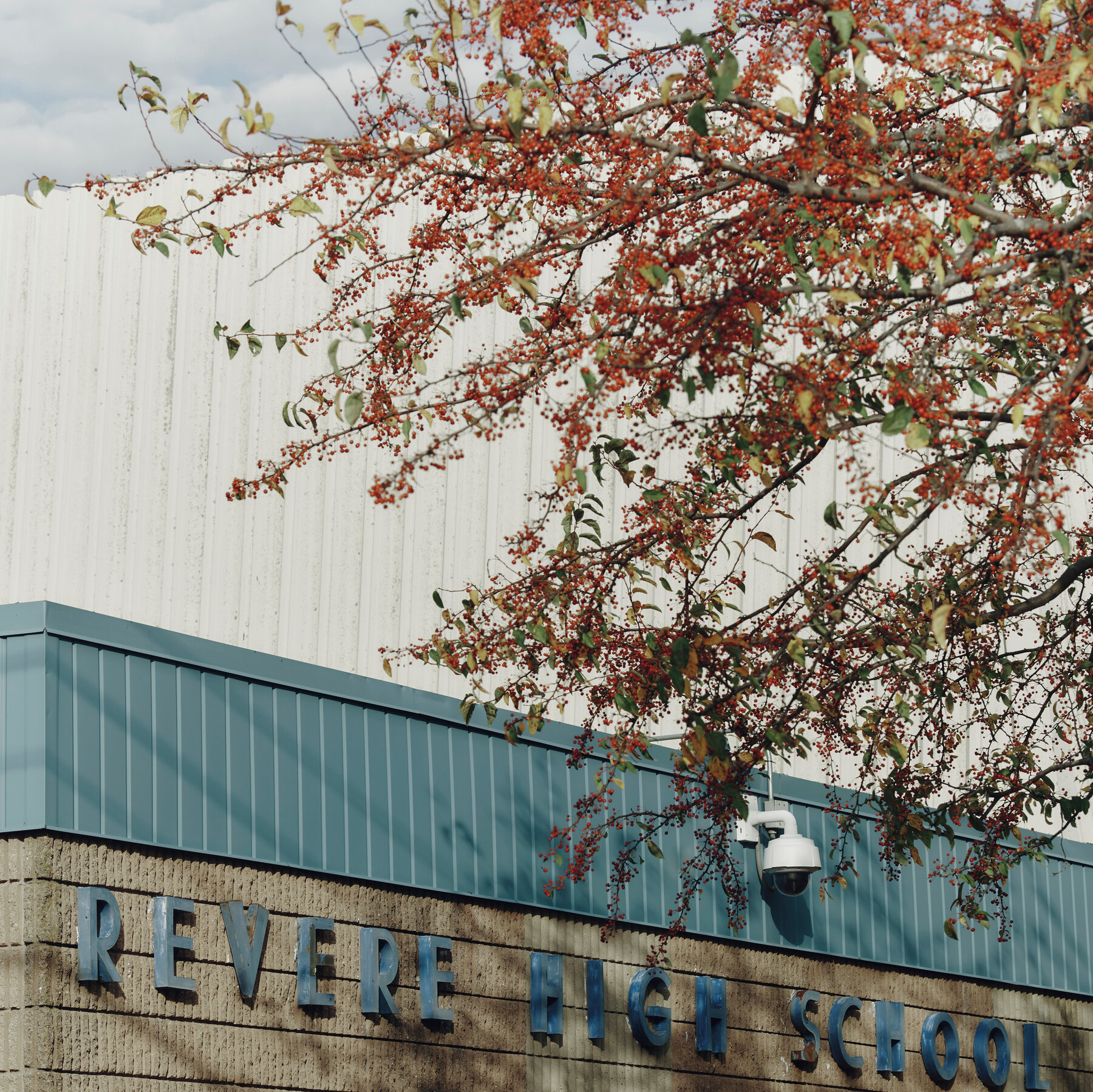 How Student Phones and Social Media Are Fueling Fights in Schools