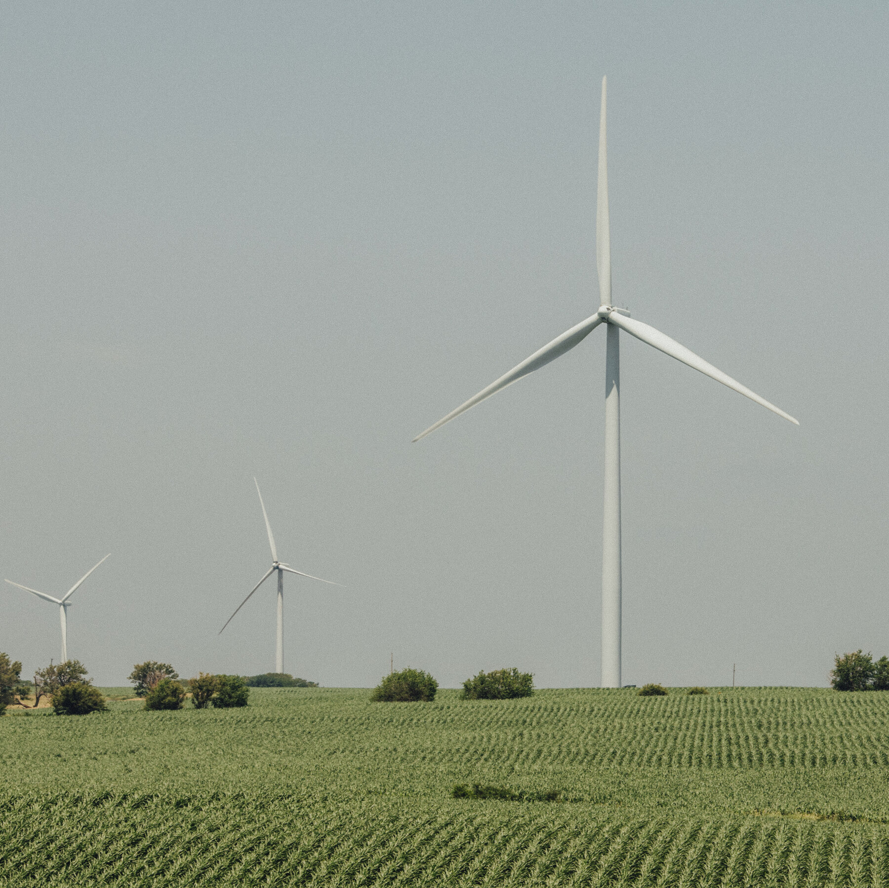 How Tariffs Could Upend the Transition to Cleaner Energy