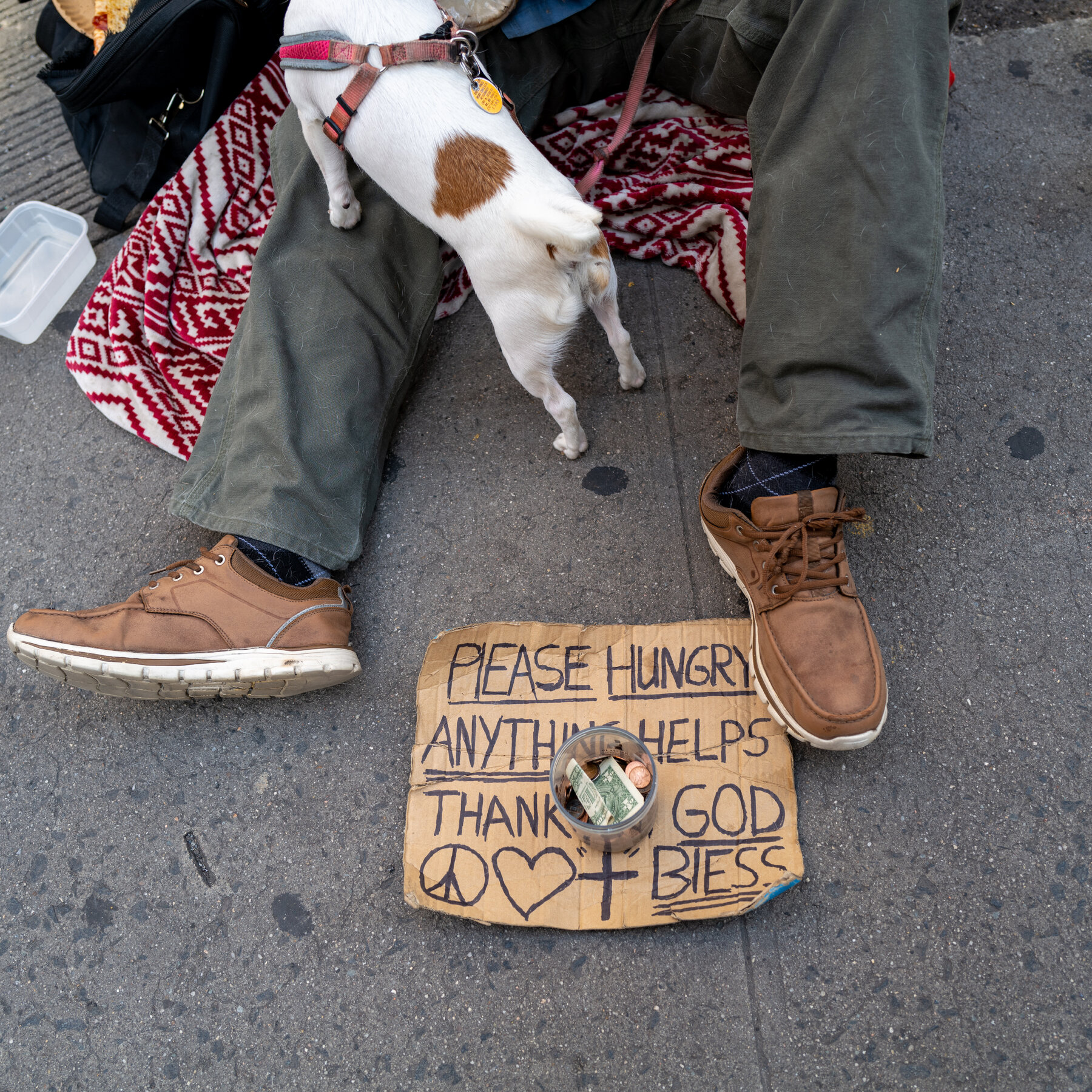 How the N.Y.C. Mayoral Candidates Plan to Tackle Homelessness