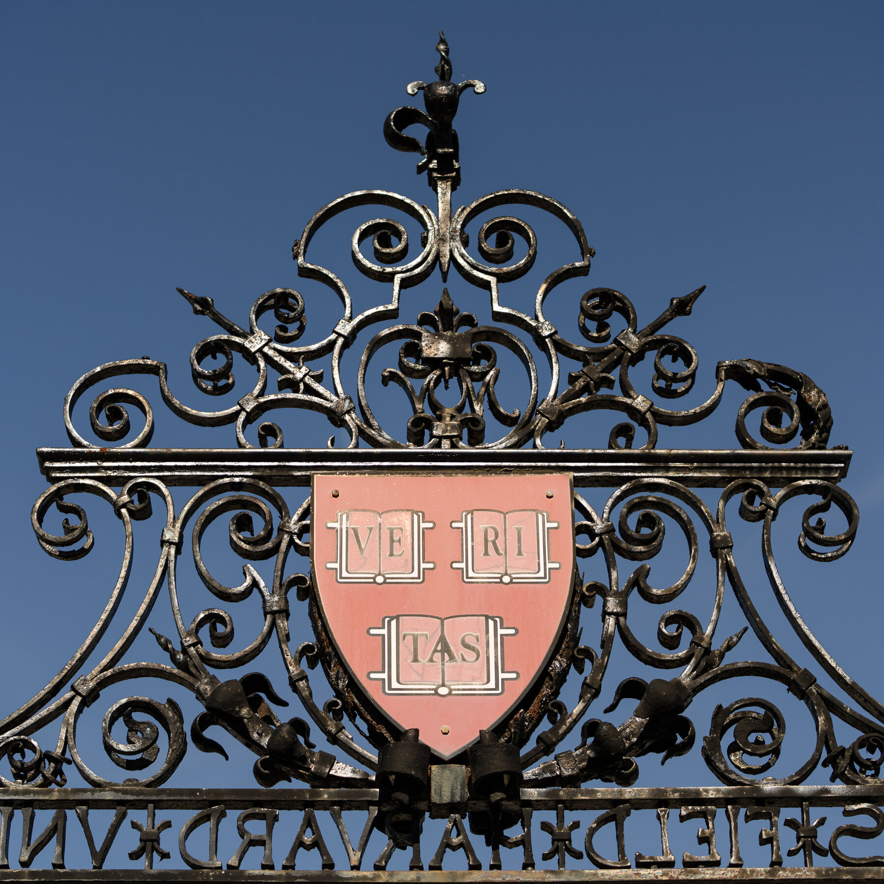 How the Trump Administration Has the Upper Hand Against Harvard
