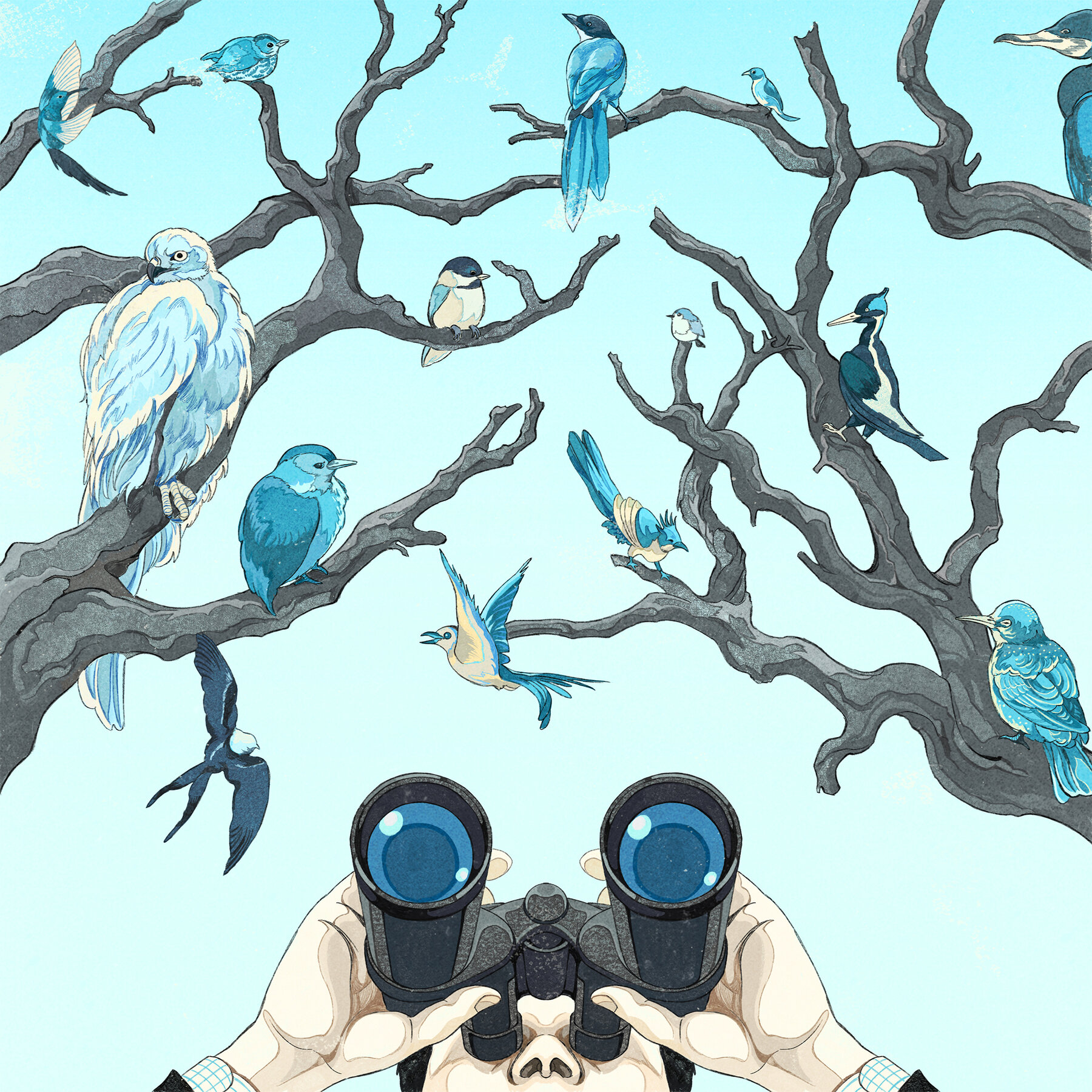 How to Bird-Watch: A Traveler’s Guide
