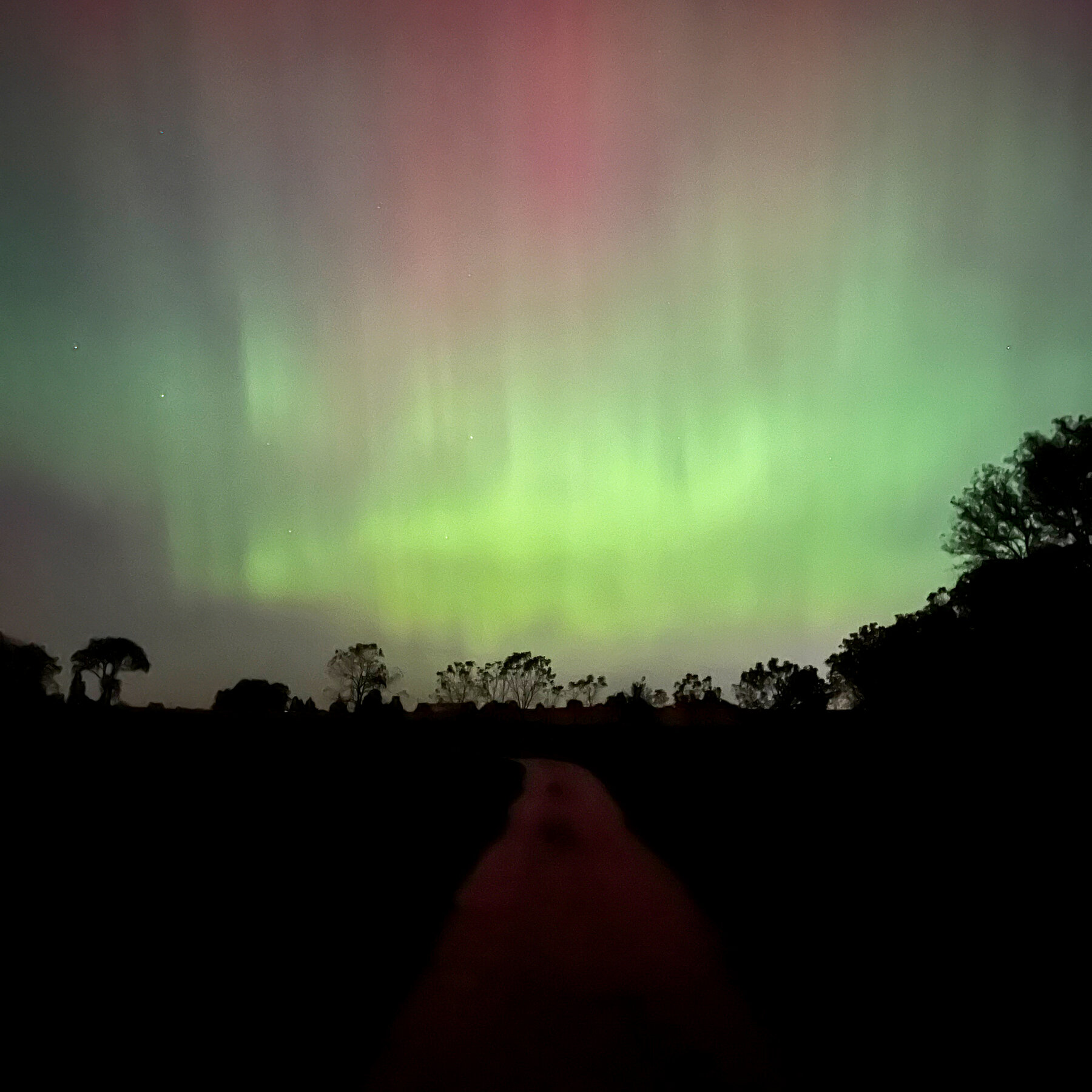 How to Capture the Northern Lights With Just Your Smartphone