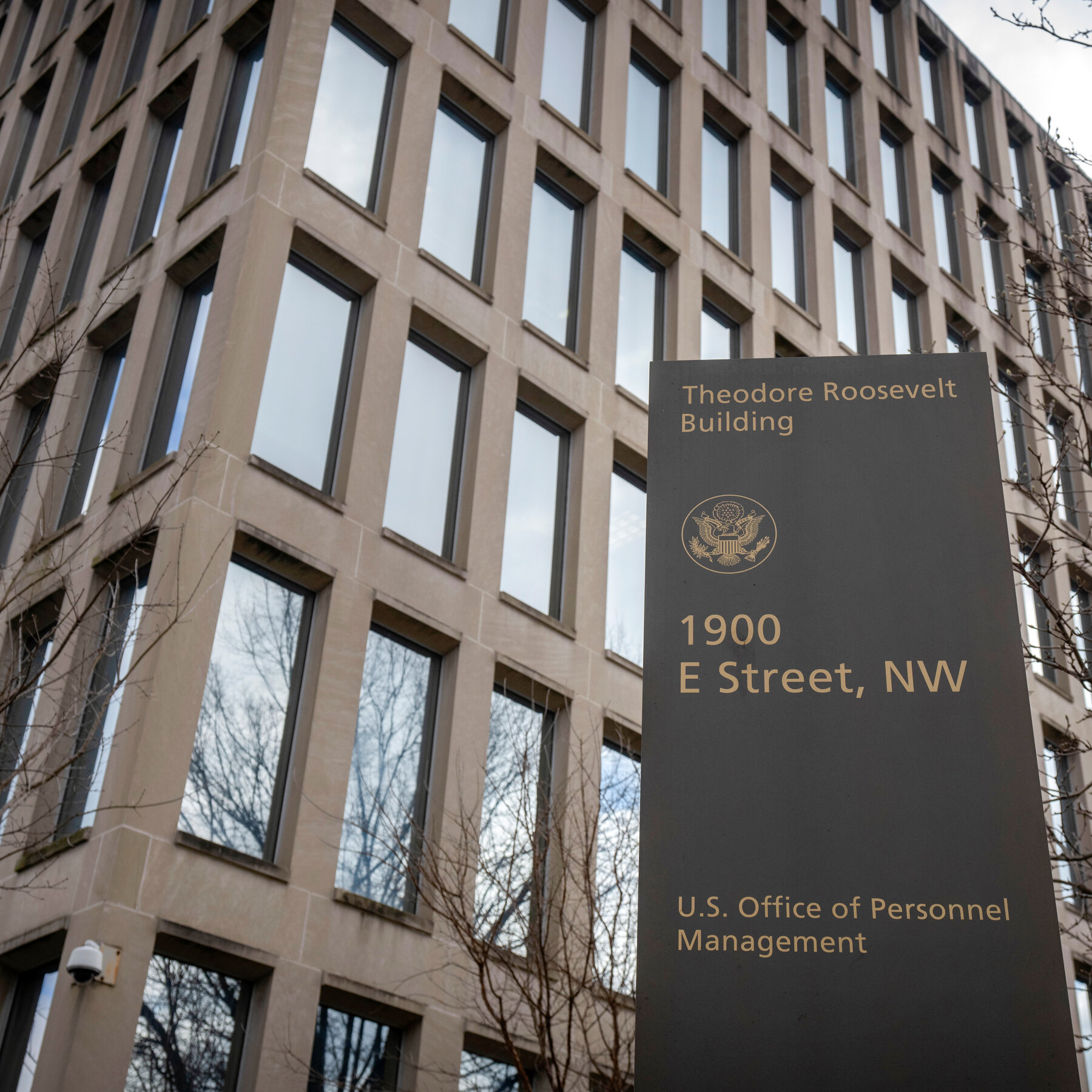 If You Work for the Federal Government, How Are You Feeling About D.E.I.?